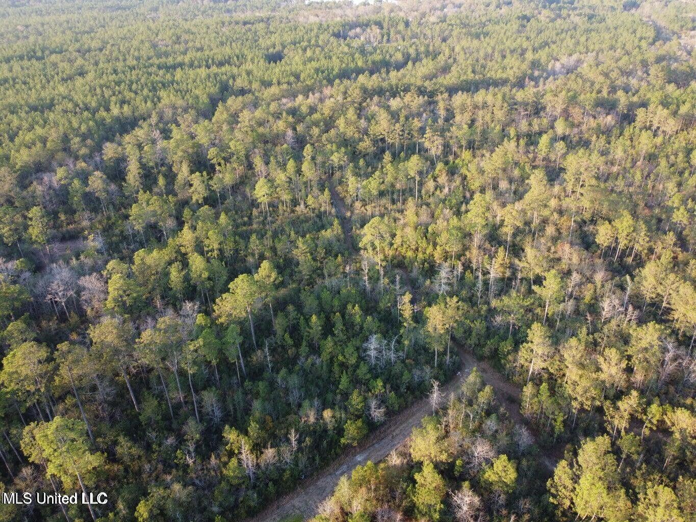 Nhn Rainbow Drive, Perkinston, Mississippi image 7