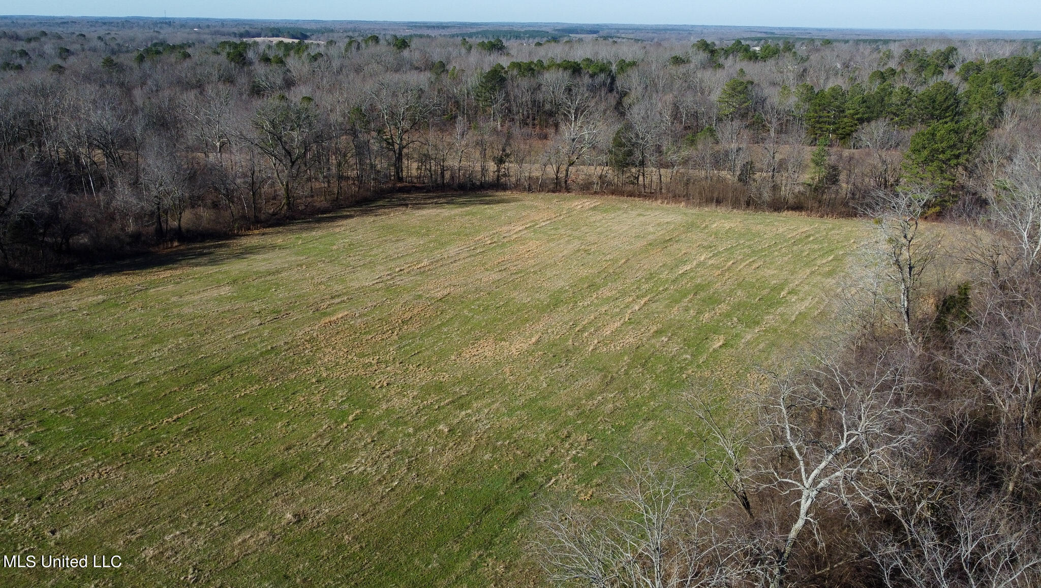 Hwy 7, Holly Springs, Mississippi image 7