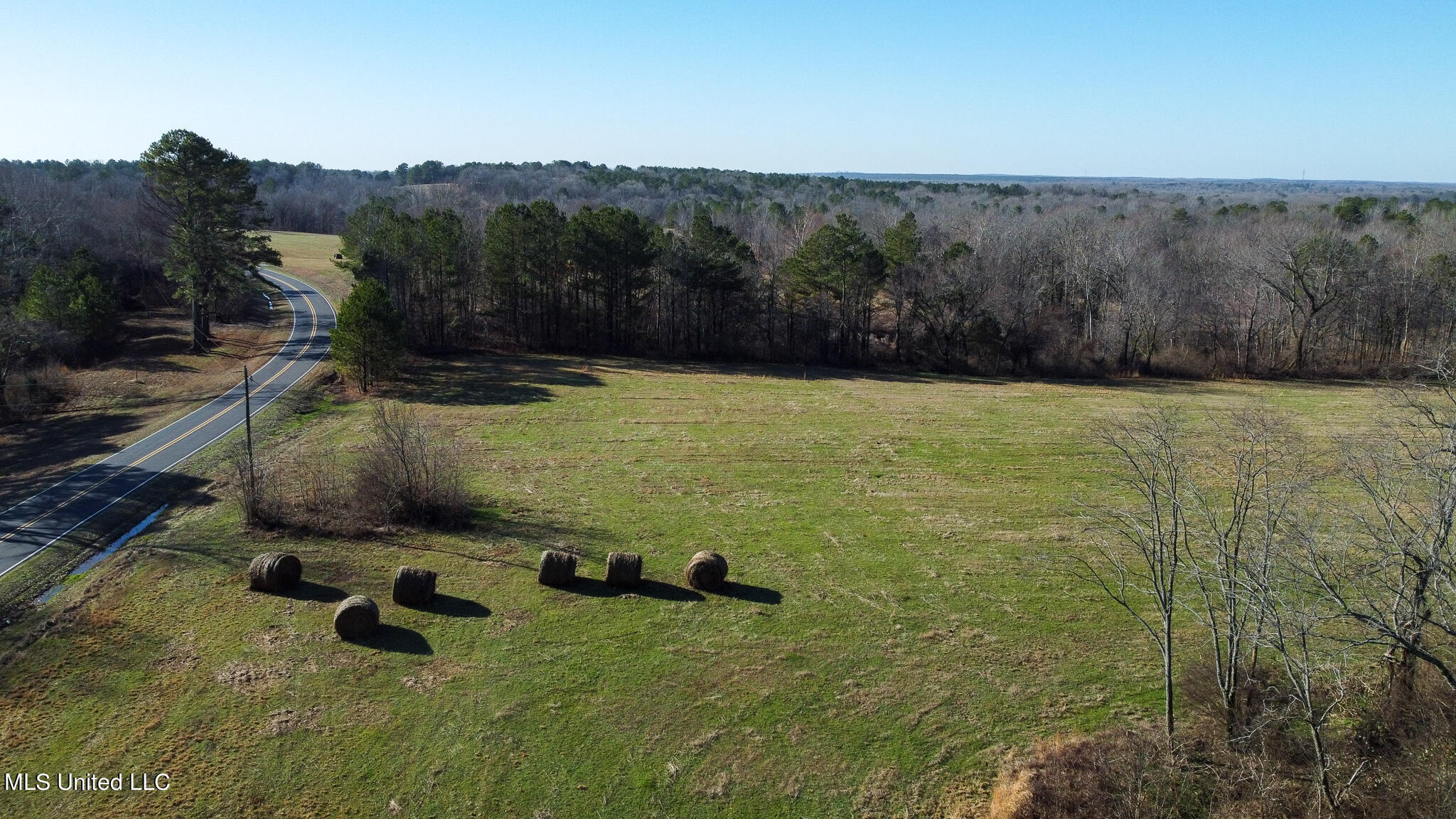 Hwy 7, Holly Springs, Mississippi image 8