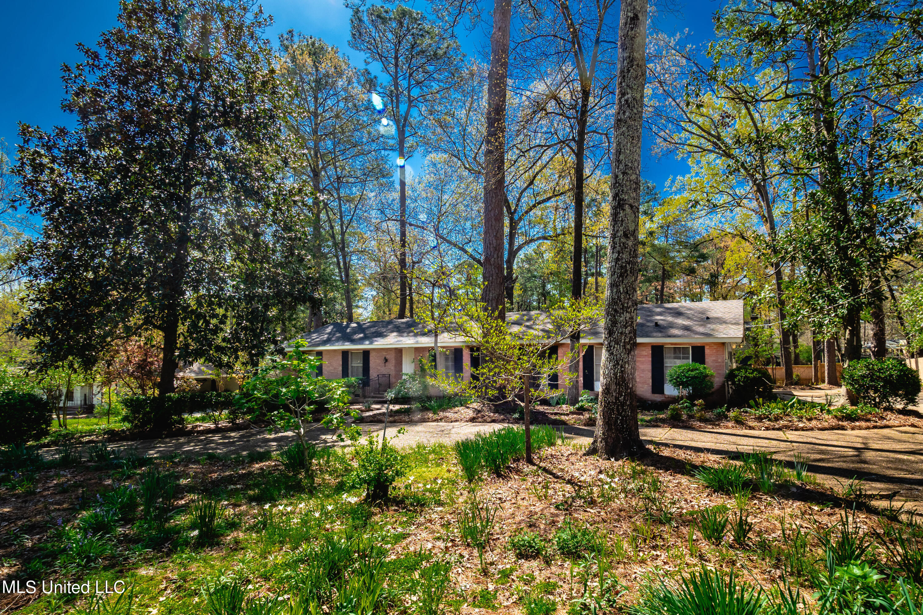 1903 Bellewood Drive, Jackson, Mississippi image 2