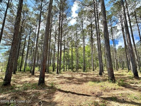 Vacant Land For Sale - 2 Morgan Road<br/> Canton, MS 39046