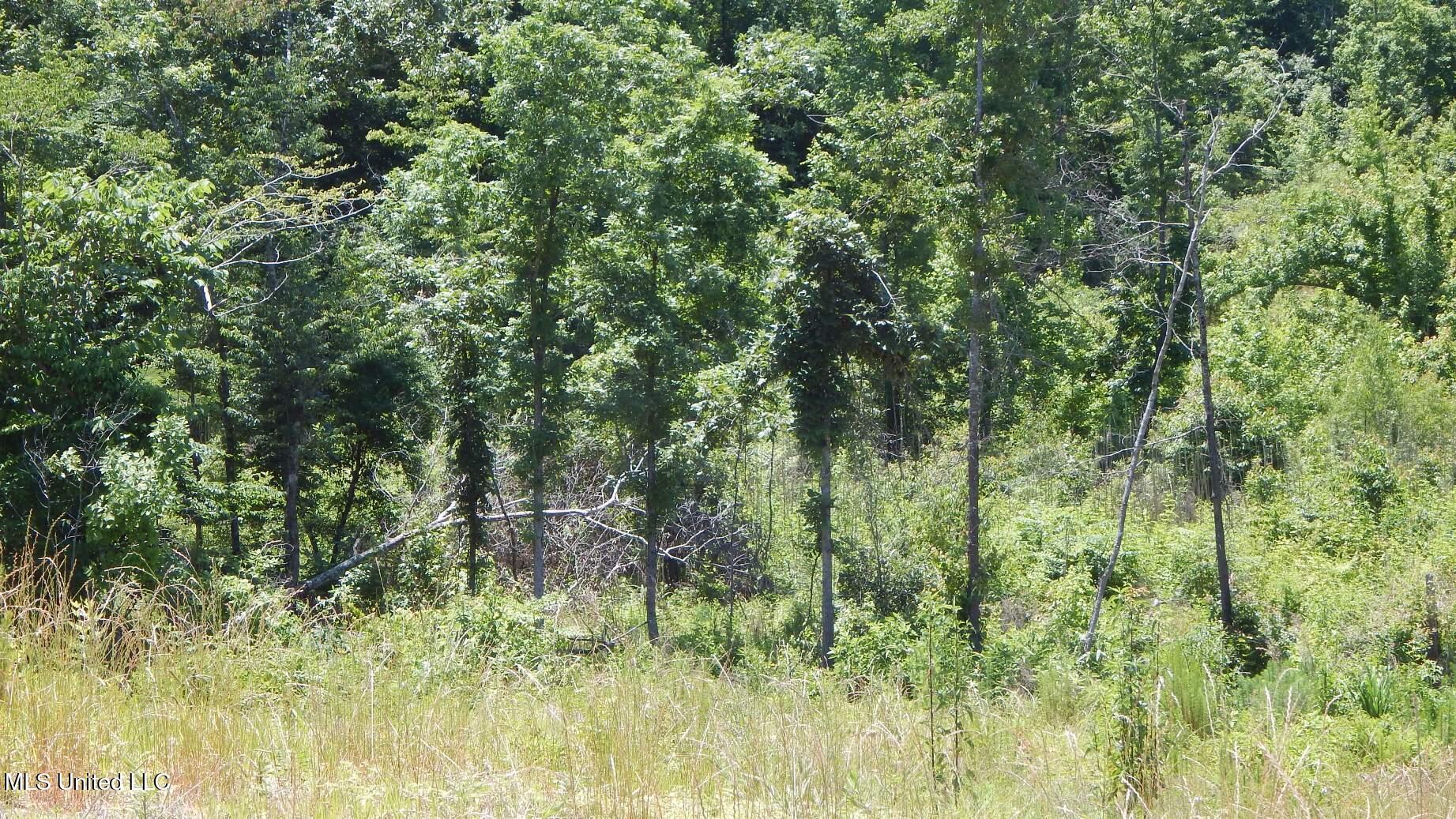 105 Hugh White State Park Road, Grenada, Mississippi image 5