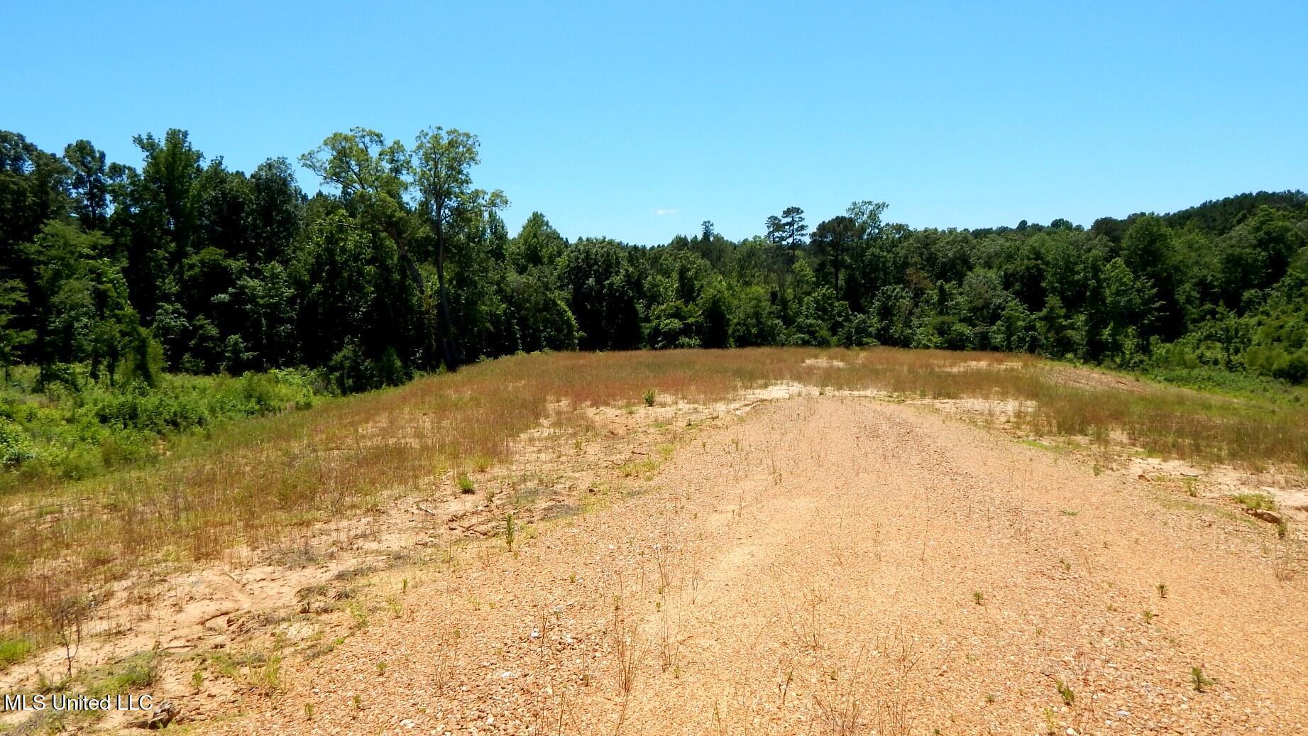 105 Hugh White State Park Road, Grenada, Mississippi image 3