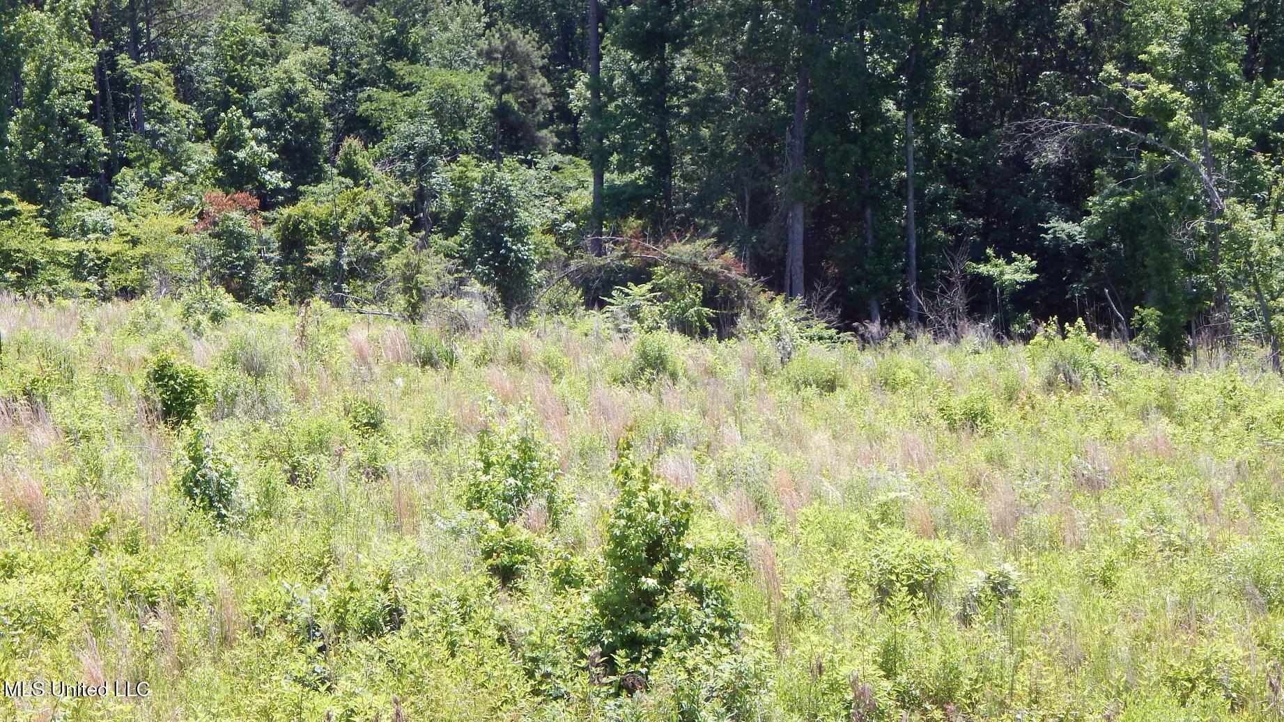 105 Hugh White State Park Road, Grenada, Mississippi image 4