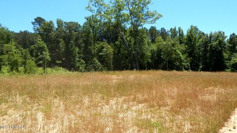 Vacant Land For Sale - 105 Hugh White State Park Road<br/> Grenada, MS 38901