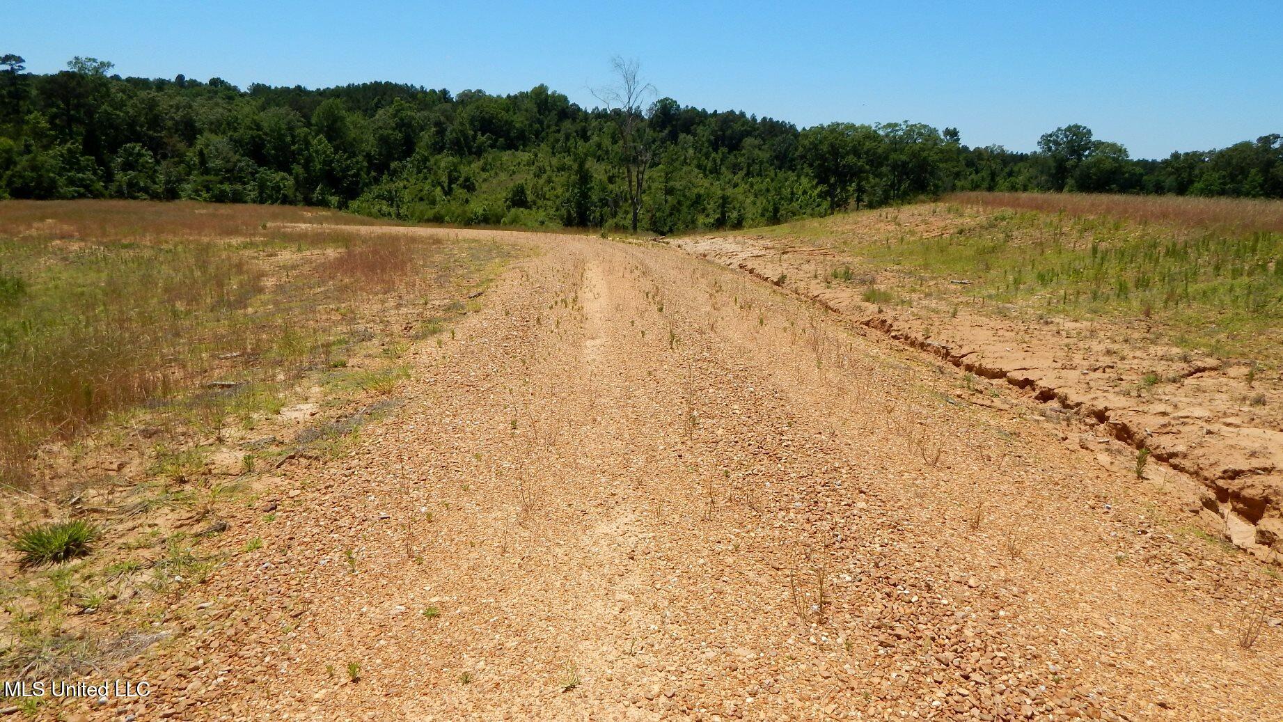 105 Hugh White State Park Road, Grenada, Mississippi image 2