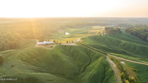 Homes For Sale - 1912 Poplar Springs Road<br/> Tallahatchie County, Cascilla, MS 38920