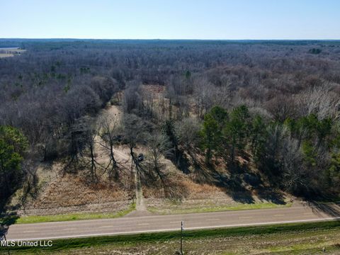 Vacant Land For Sale - Highway 12<br/> Attala County, Sallis, MS 39160