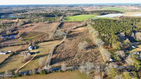 Vacant Land For Sale - 18.7 NE Nola Road<br/> Brookhaven, MS 39601