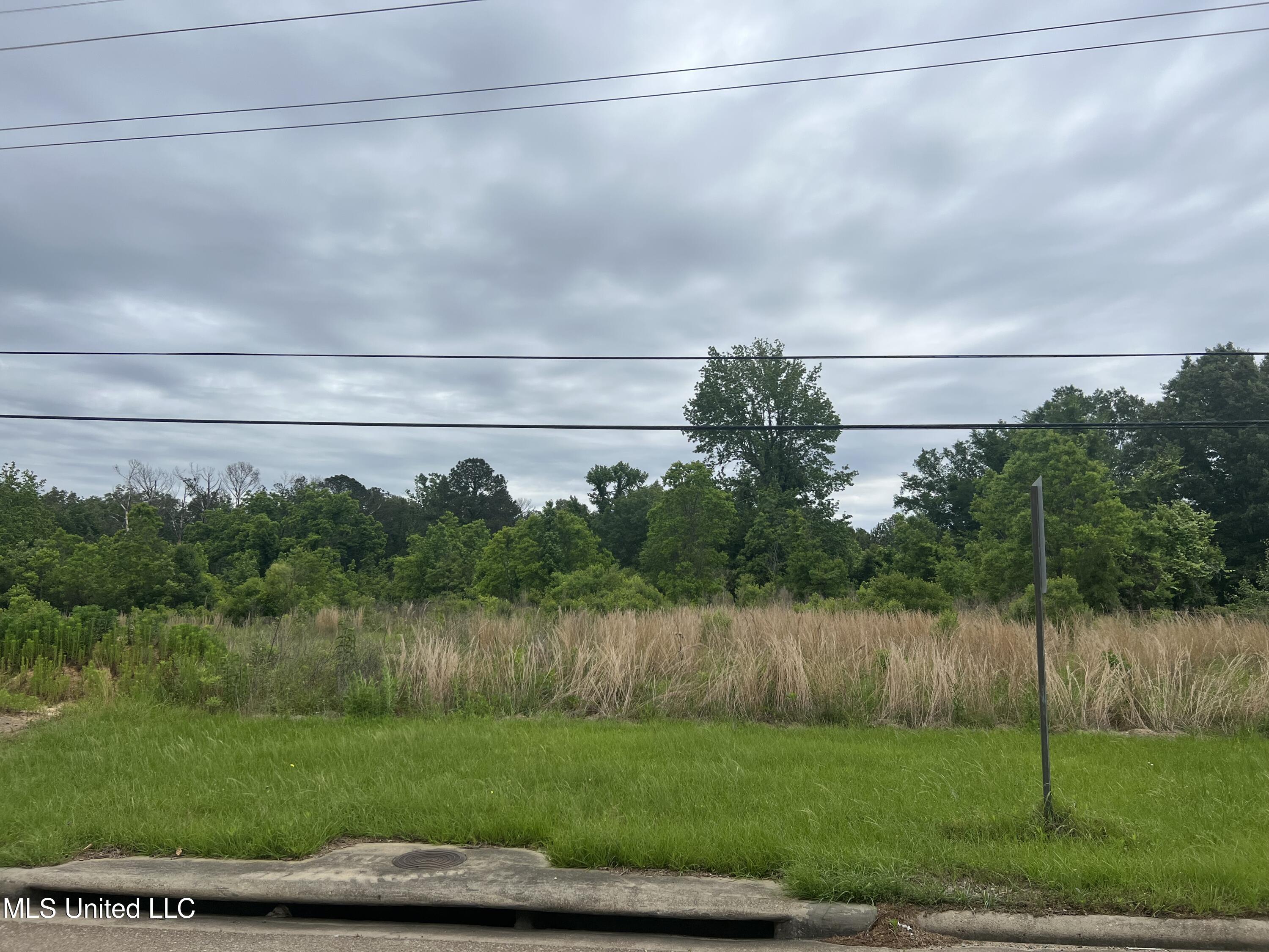 2524 Highway 468, Pearl, Mississippi image 3