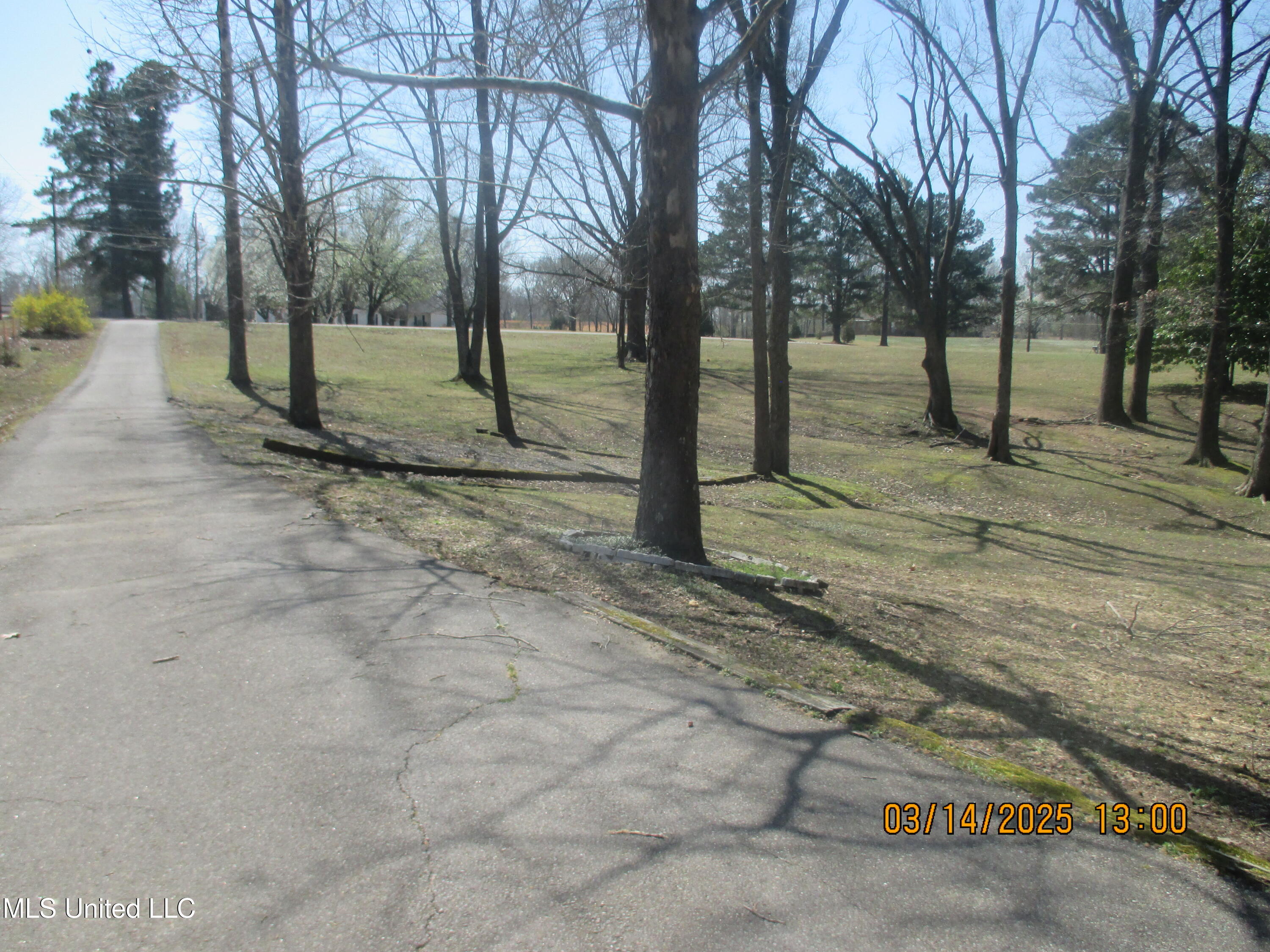 9750 Quail Rd Road, Olive Branch, Mississippi image 24