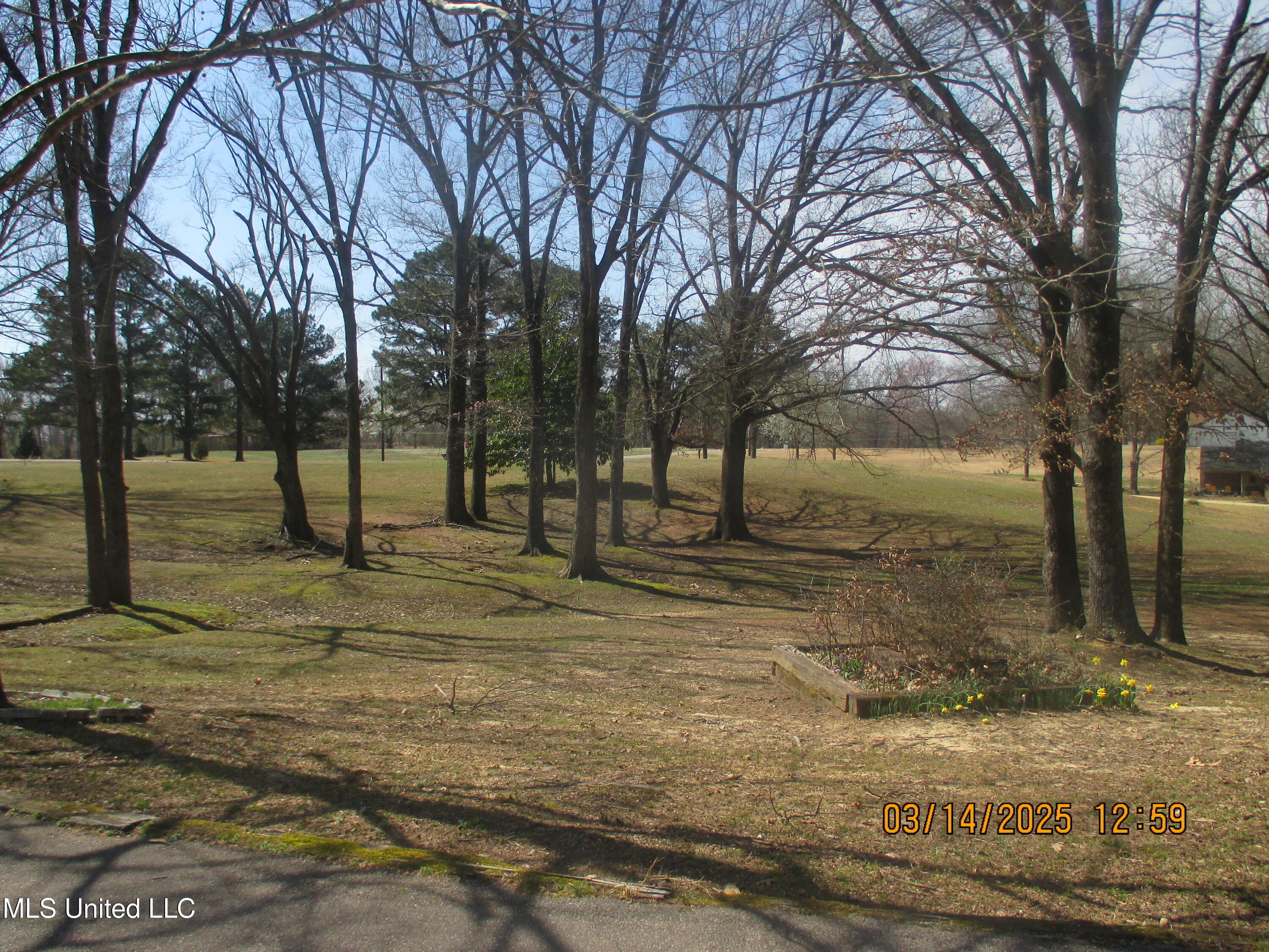 9750 Quail Rd Road, Olive Branch, Mississippi image 23