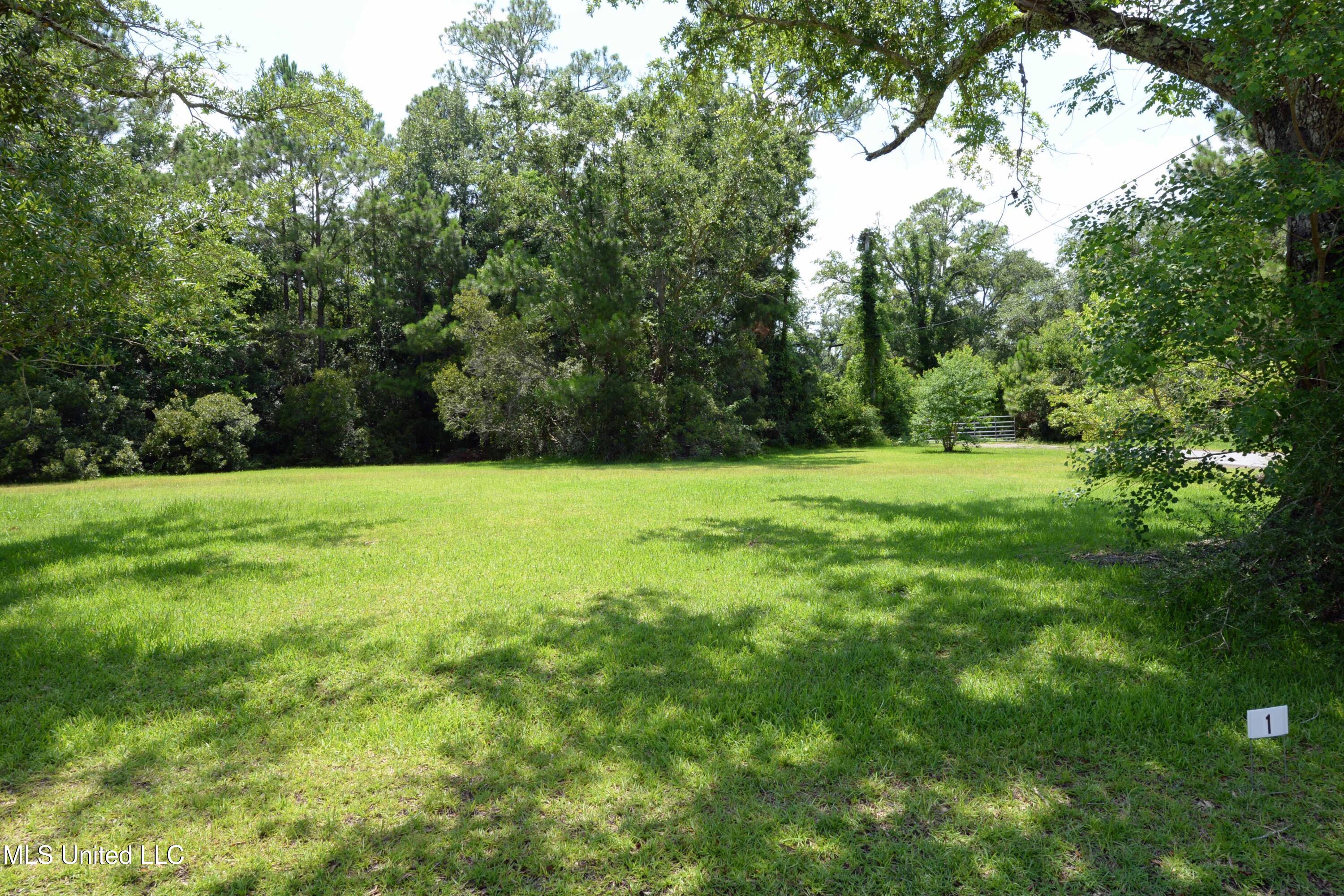 Lot 1 Mallard Marsh Cove, Biloxi, Mississippi image 10