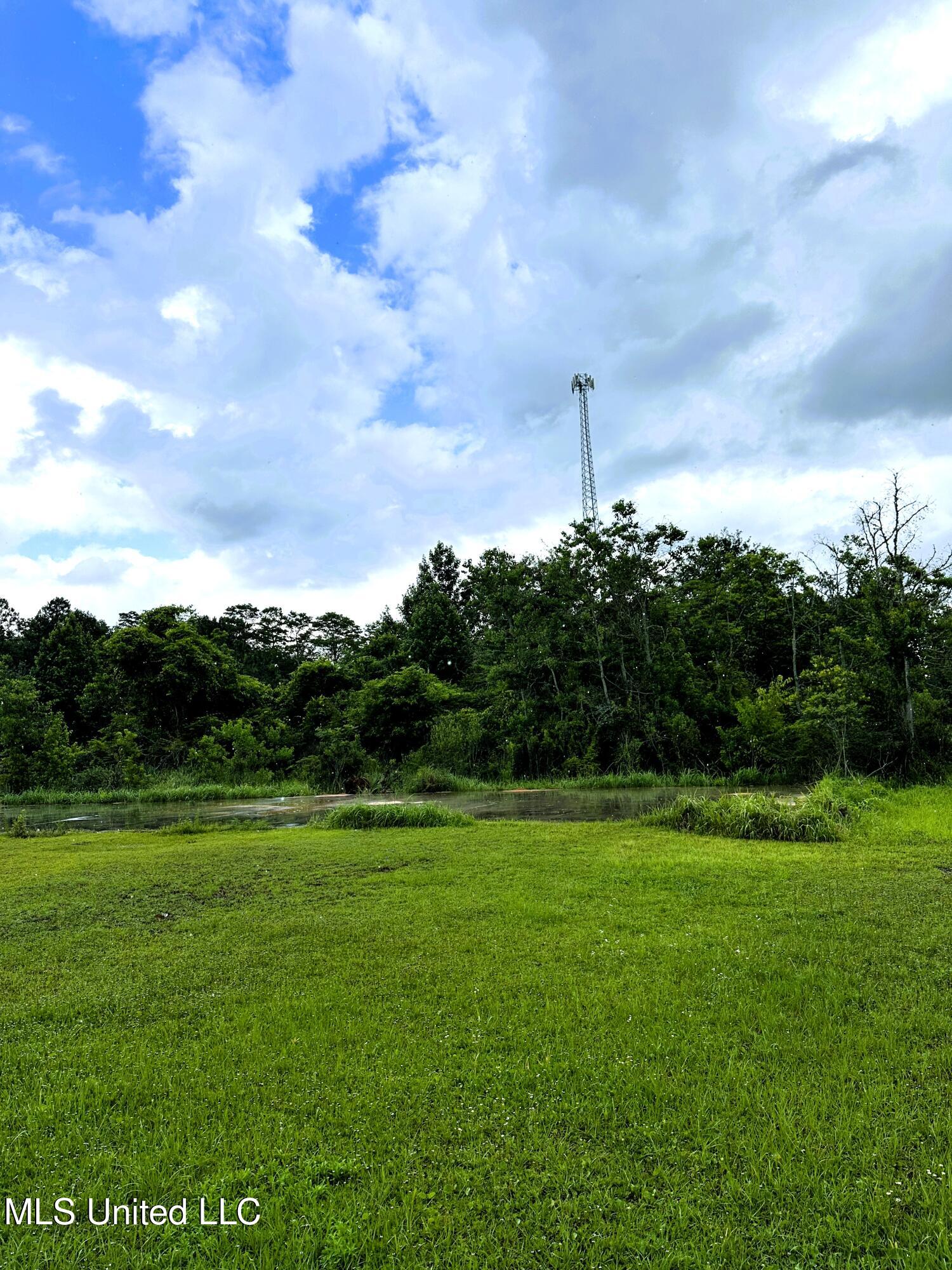 27 Acres Brinkman Road, Moss Point, Mississippi image 11