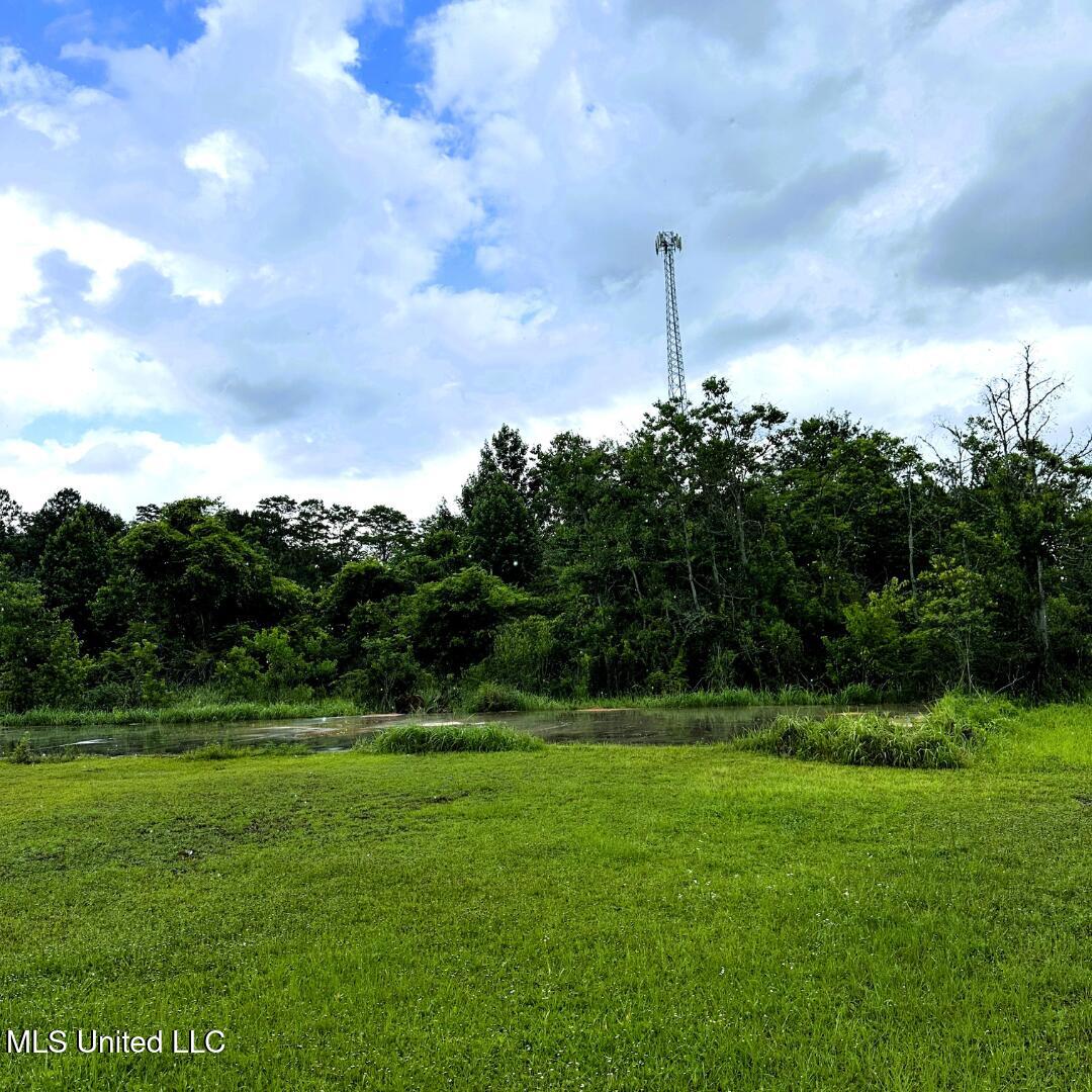 27 Acres Brinkman Road, Moss Point, Mississippi image 12