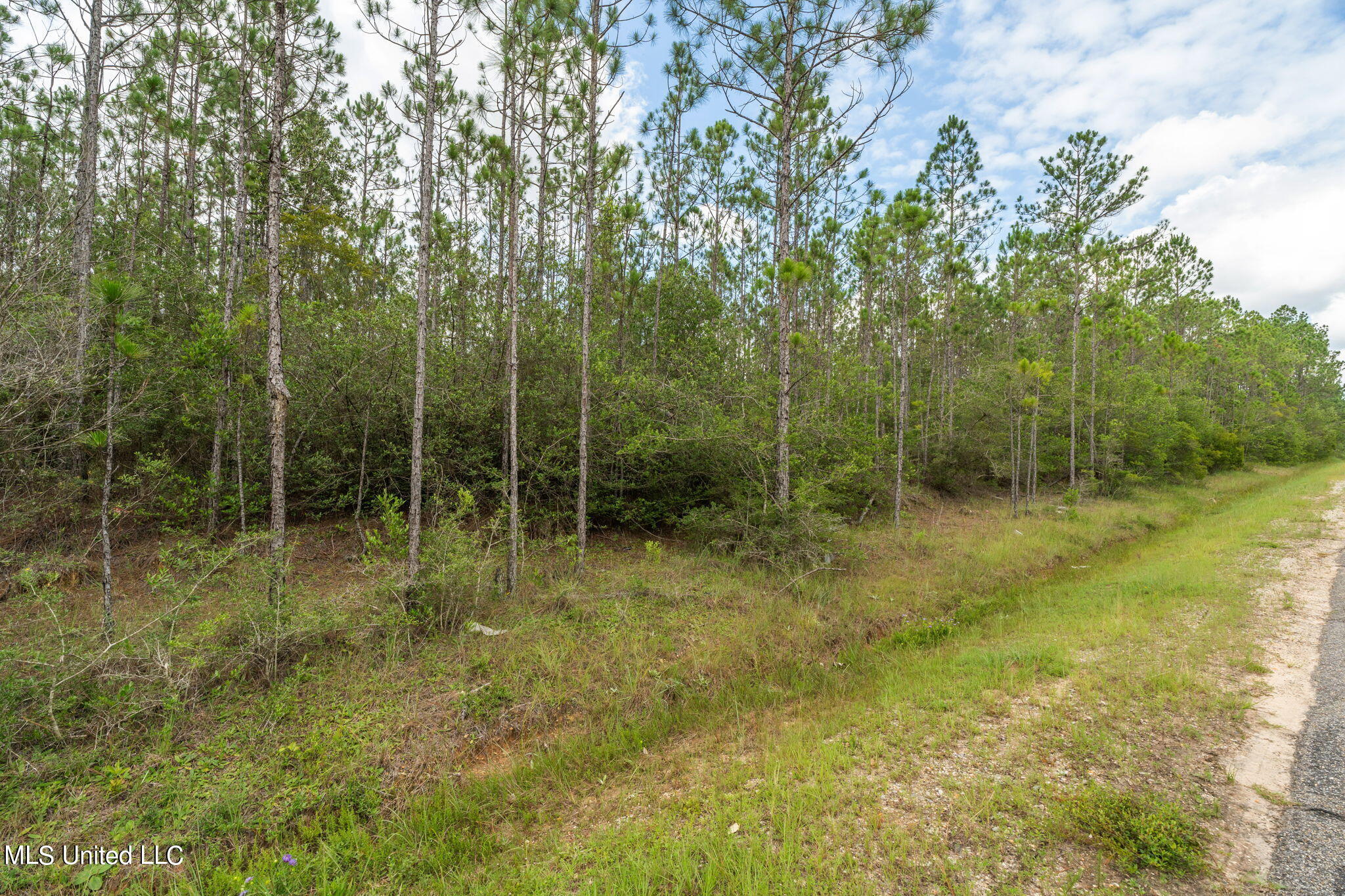 Herman Ladner Road, Saucier, Mississippi image 7