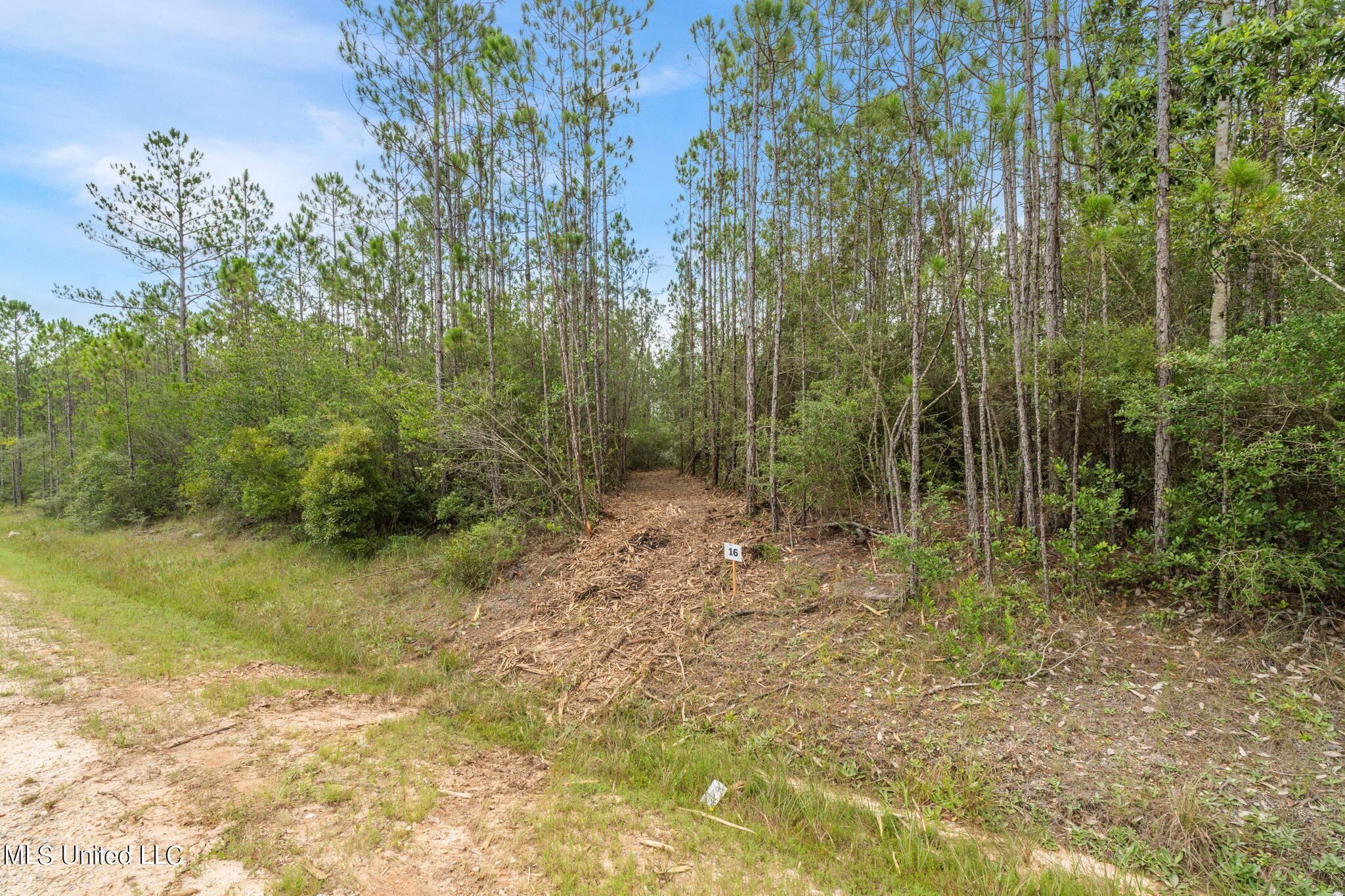 Herman Ladner Road, Saucier, Mississippi image 6