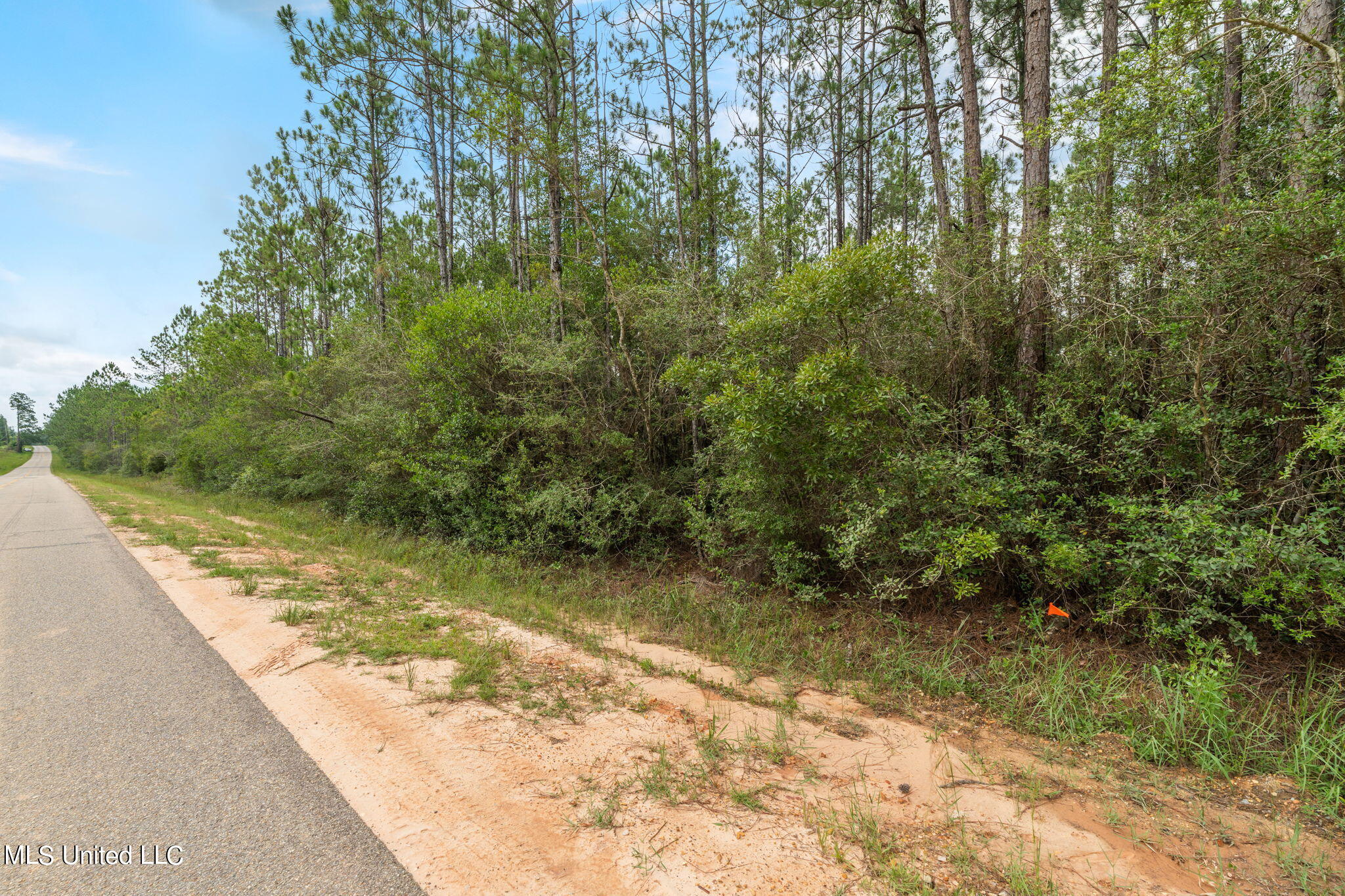 Herman Ladner Road, Saucier, Mississippi image 5