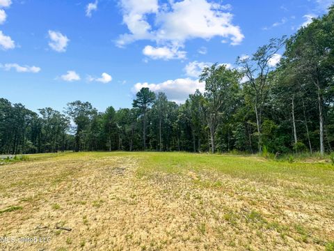 Vacant Land For Sale - Canyon Ridge<br/> Flora, MS 39071