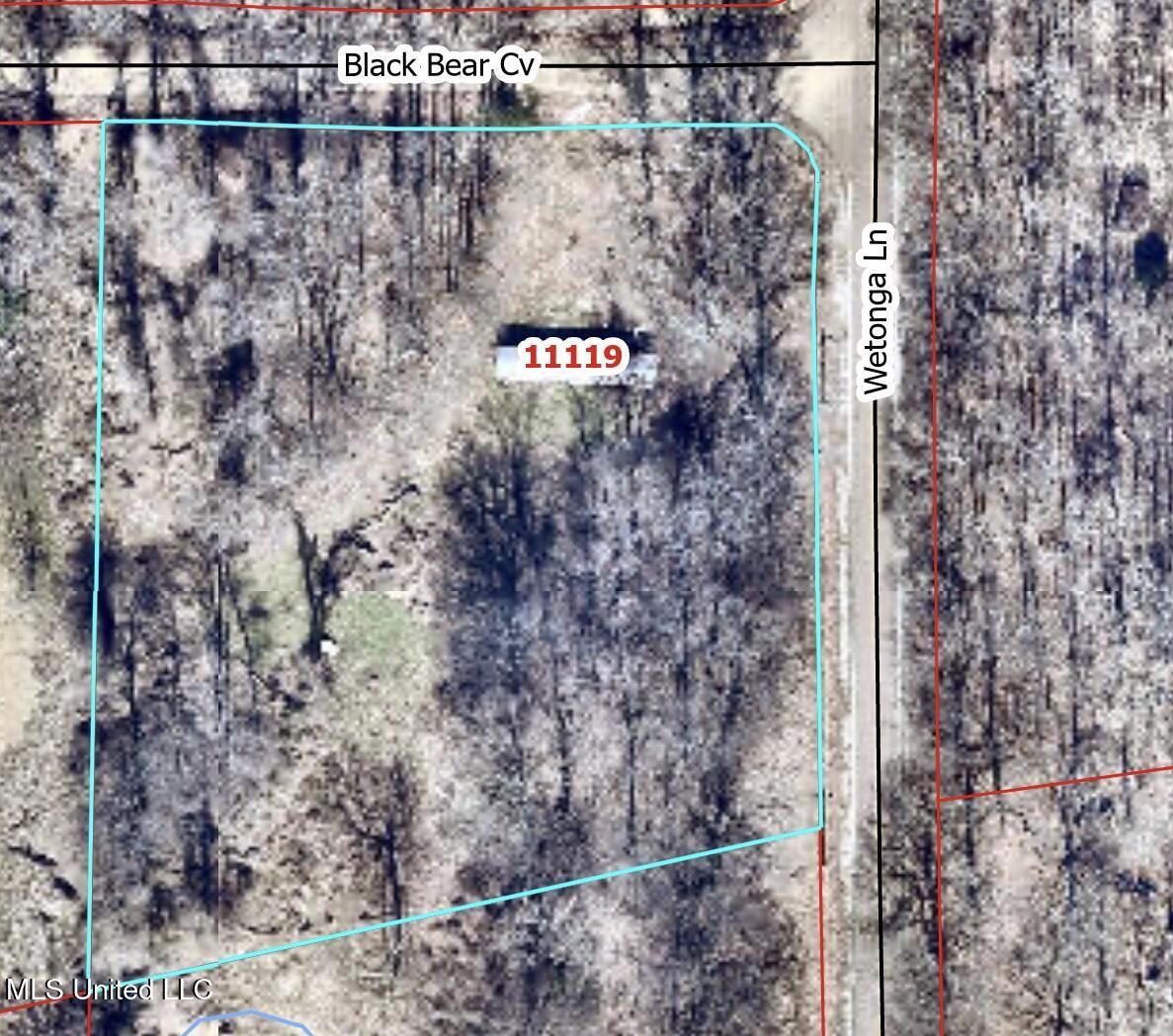 11119 Black Bear Cove, Hernando, Mississippi image 1