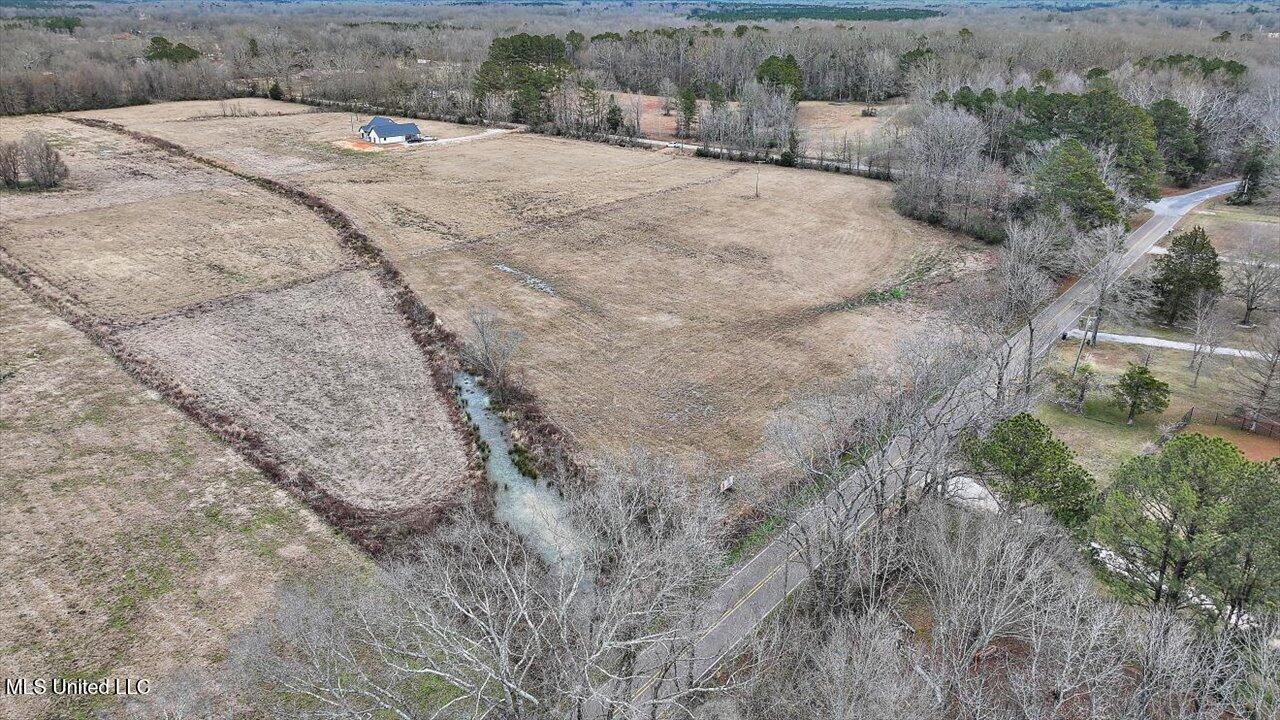 Morton-rankin County Line Road, Pelahatchie, Mississippi image 10