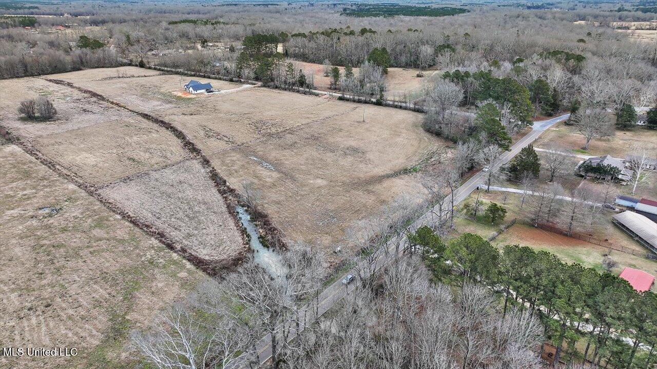 Morton-rankin County Line Road, Pelahatchie, Mississippi image 8