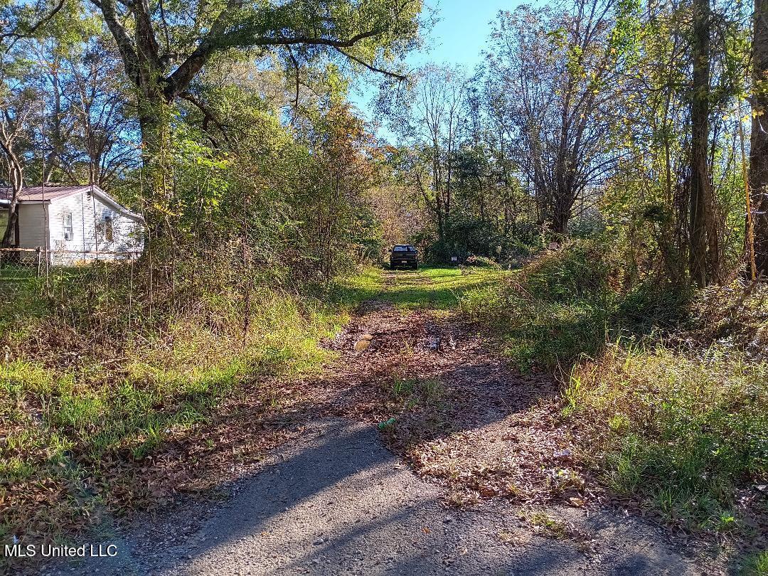 15208 Old River Road, Vancleave, Mississippi image 4