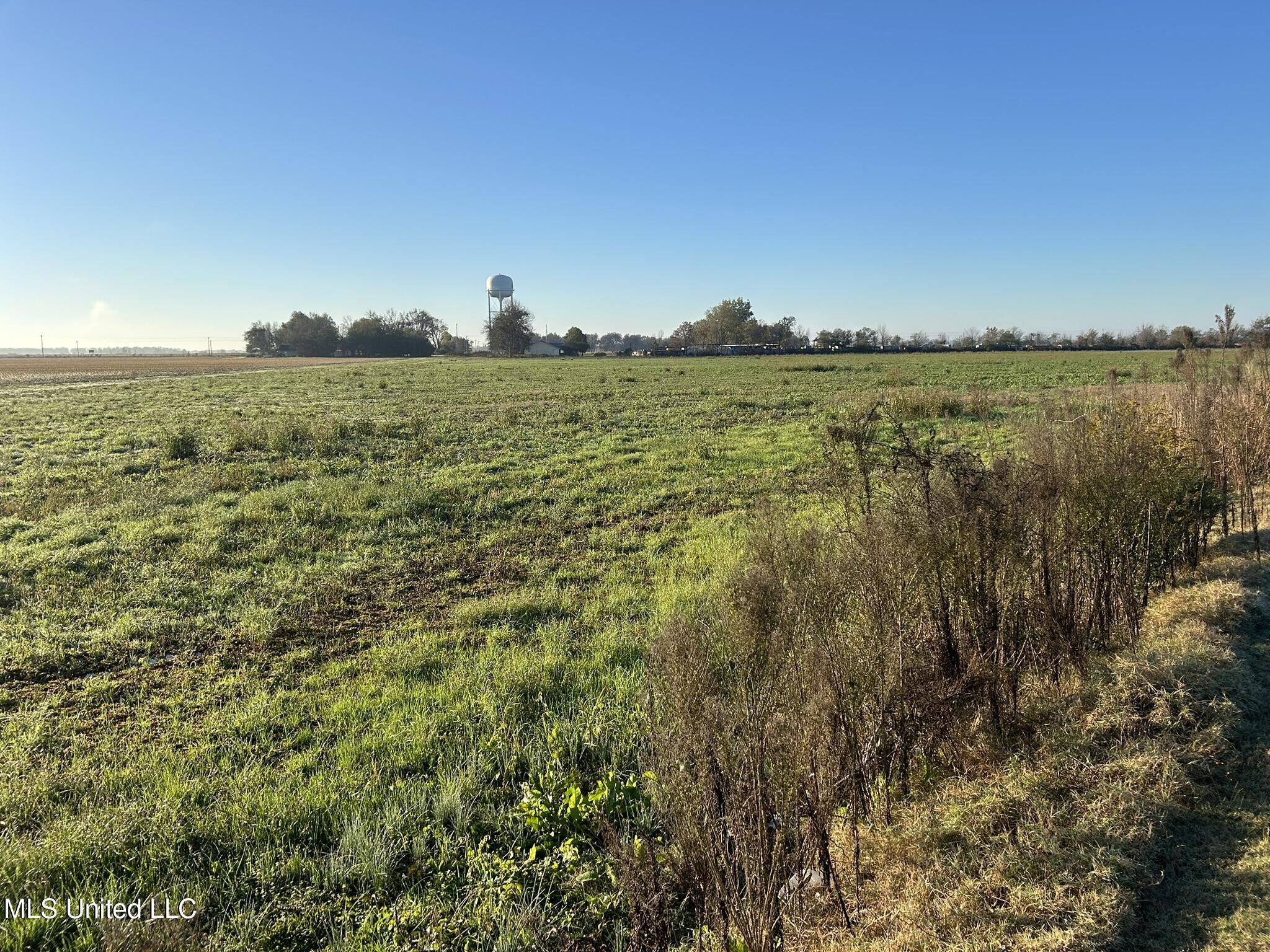 Bramlett Davenport Road Road, Clarksdale, Mississippi image 3