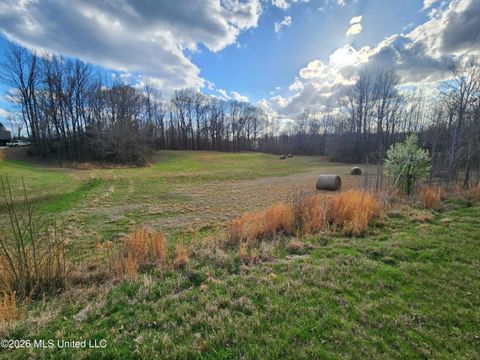 Vacant Land For Sale - Aaron Road<br/> Sarah, MS 38665