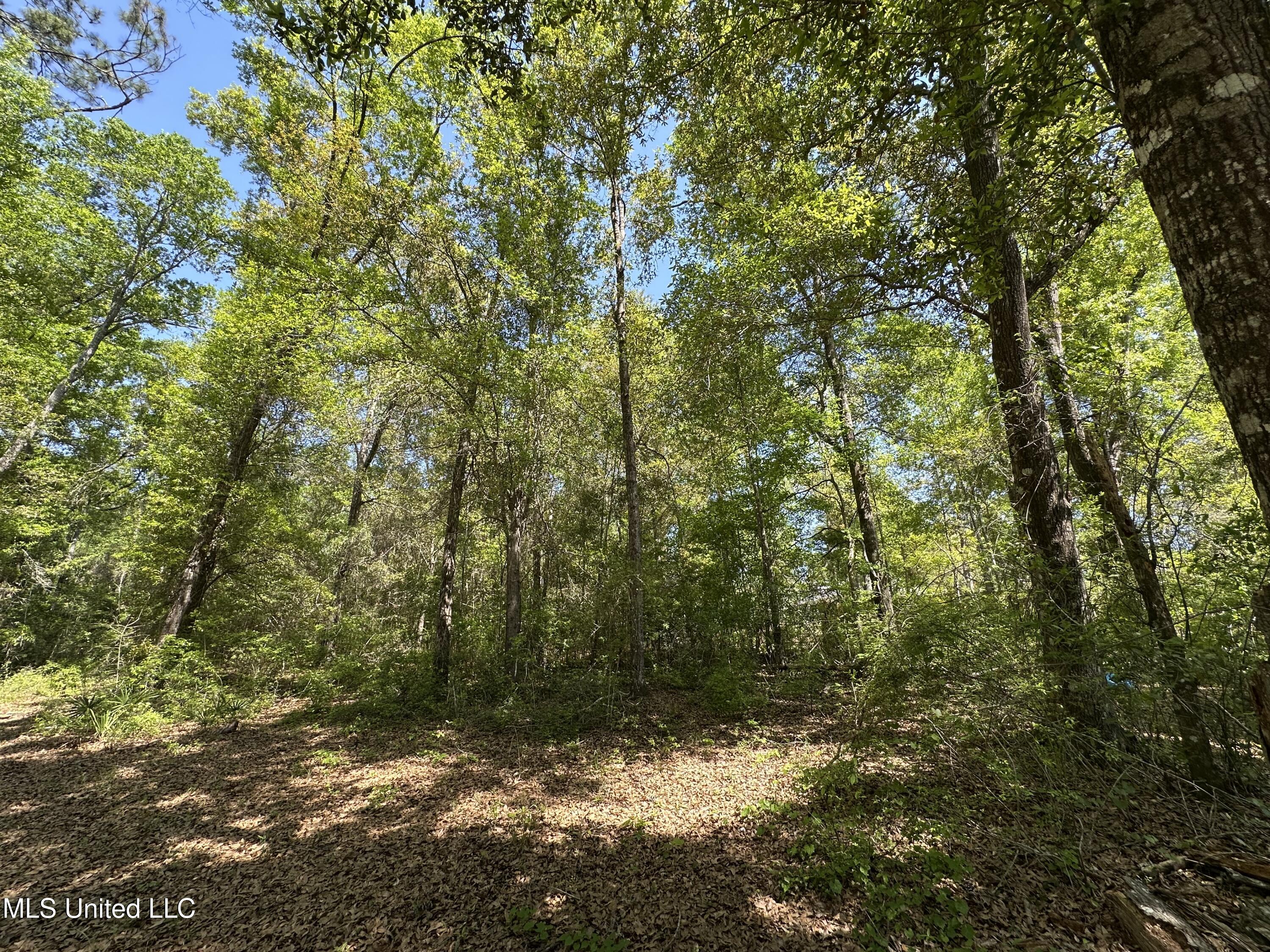 Kale Place, Diamondhead, Mississippi image 5