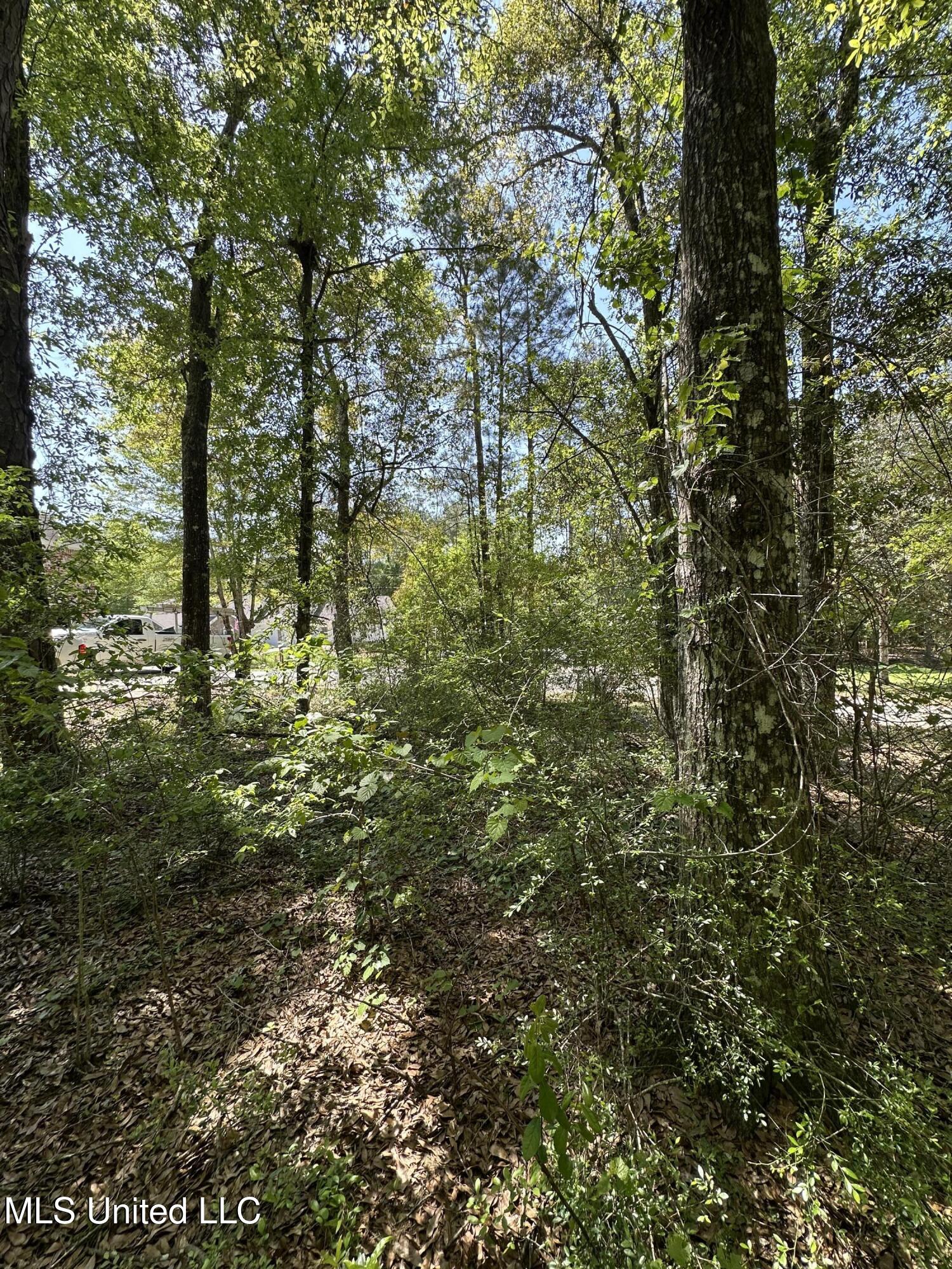 Kale Place, Diamondhead, Mississippi image 4