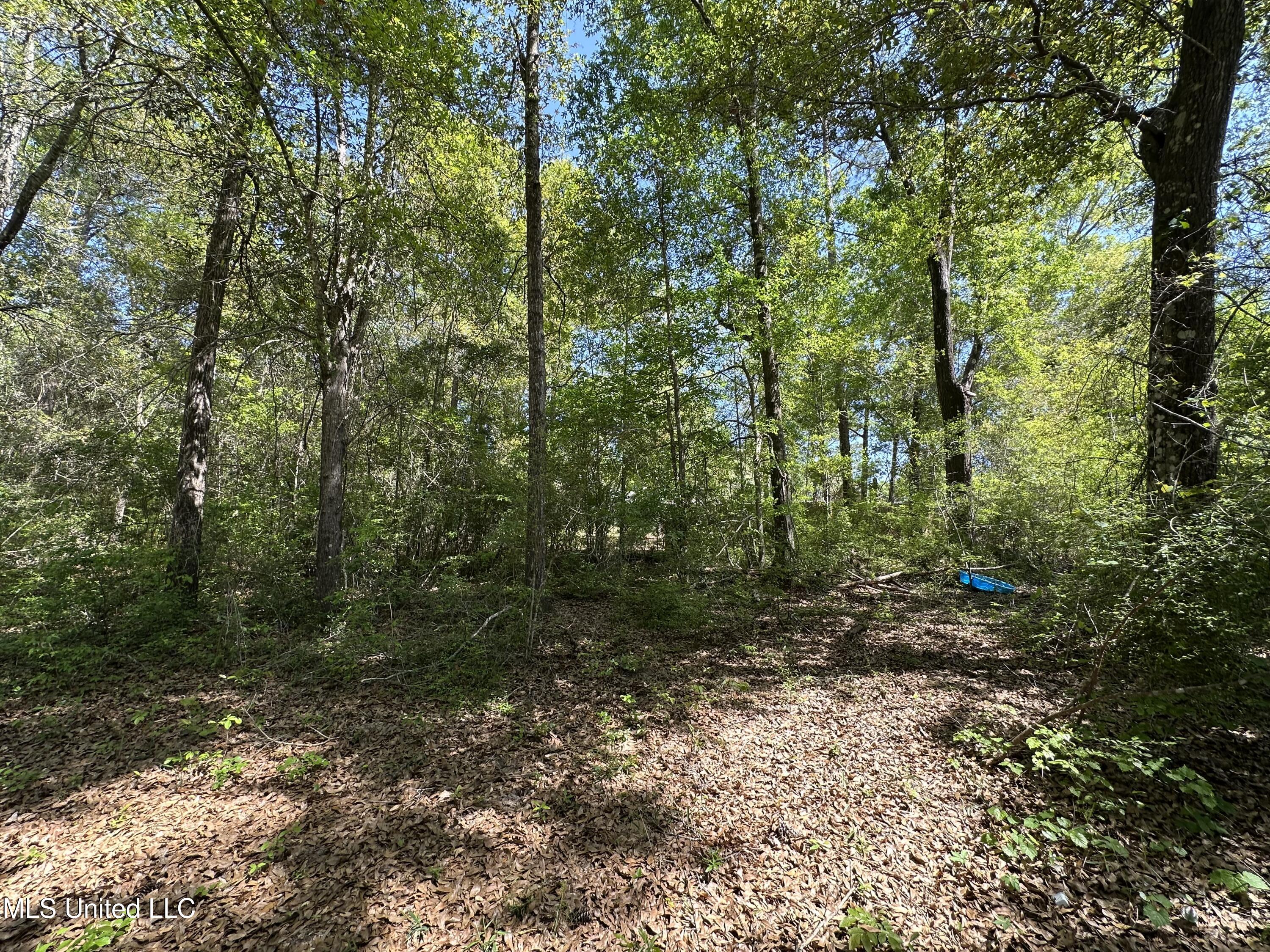 Kale Place, Diamondhead, Mississippi image 6