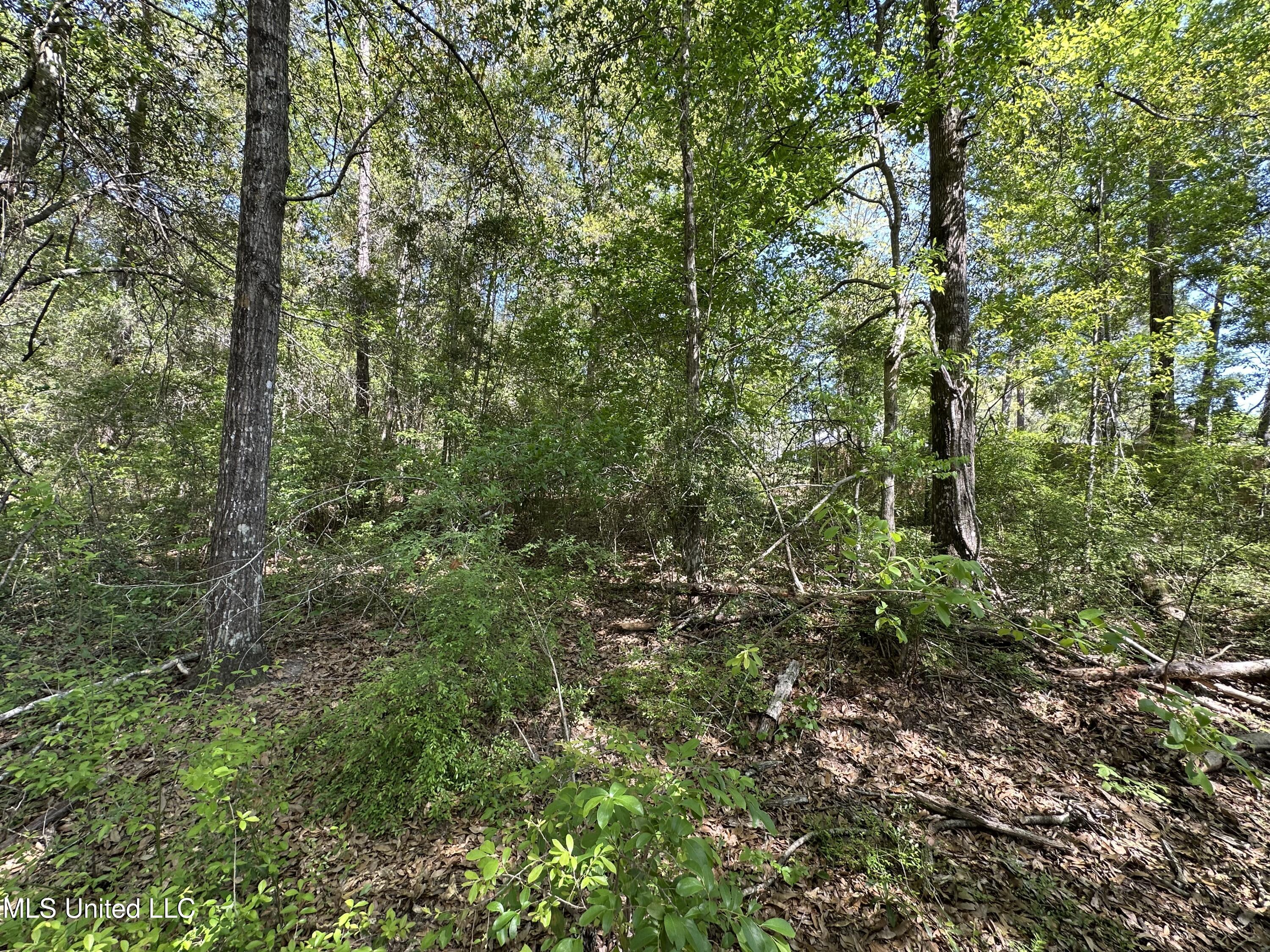 Kale Place, Diamondhead, Mississippi image 8