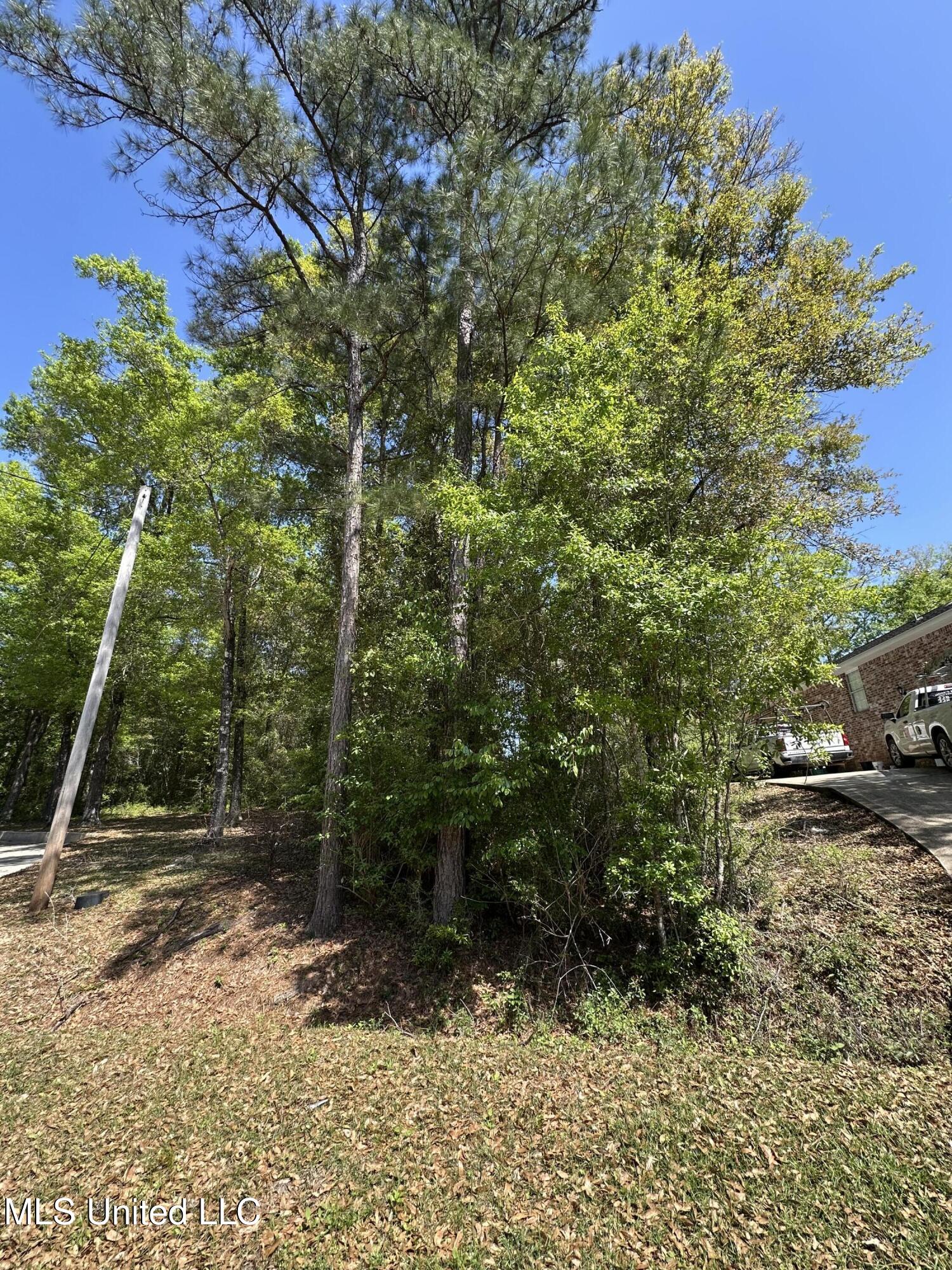 Kale Place, Diamondhead, Mississippi image 2