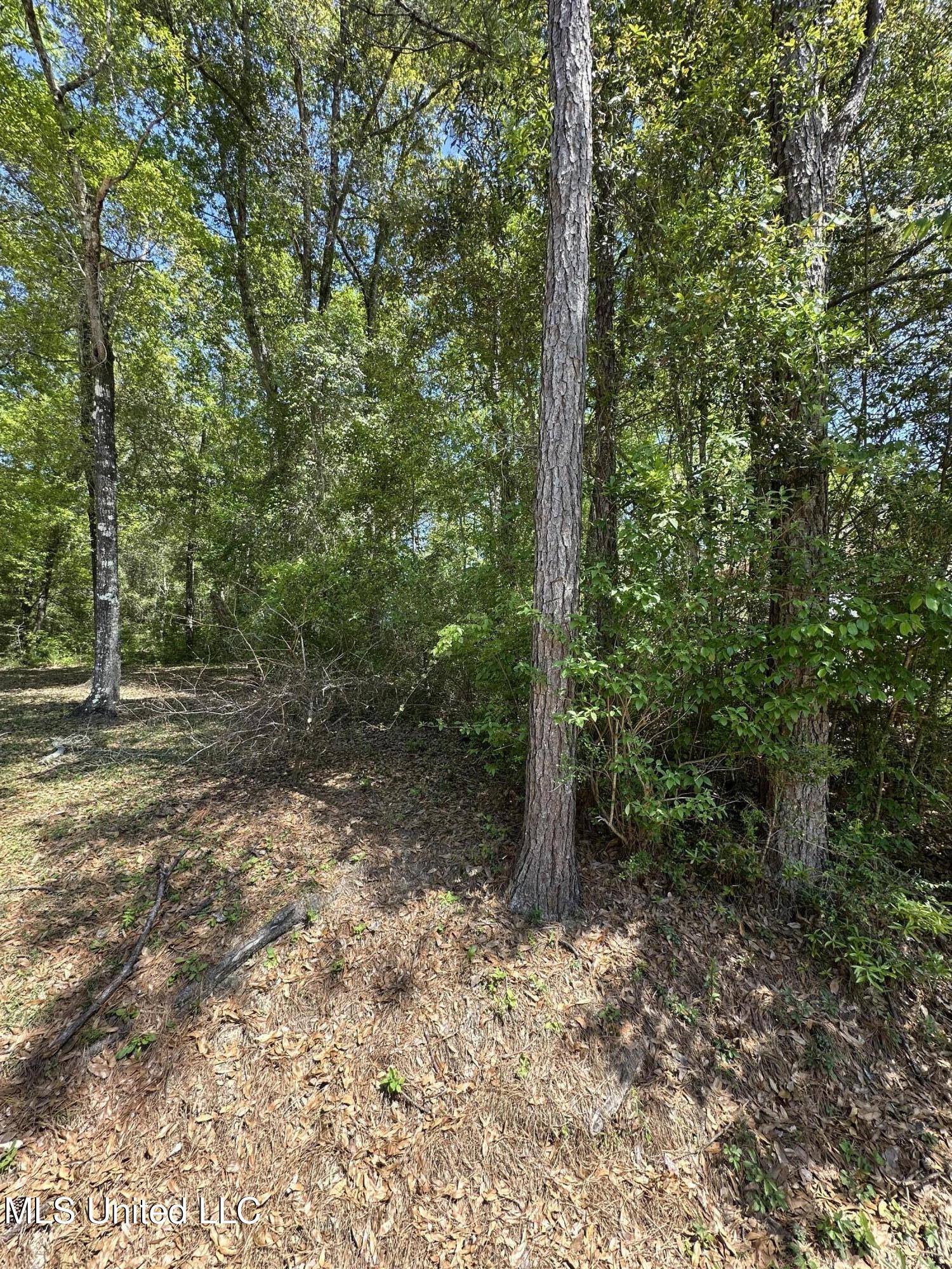 Kale Place, Diamondhead, Mississippi image 1