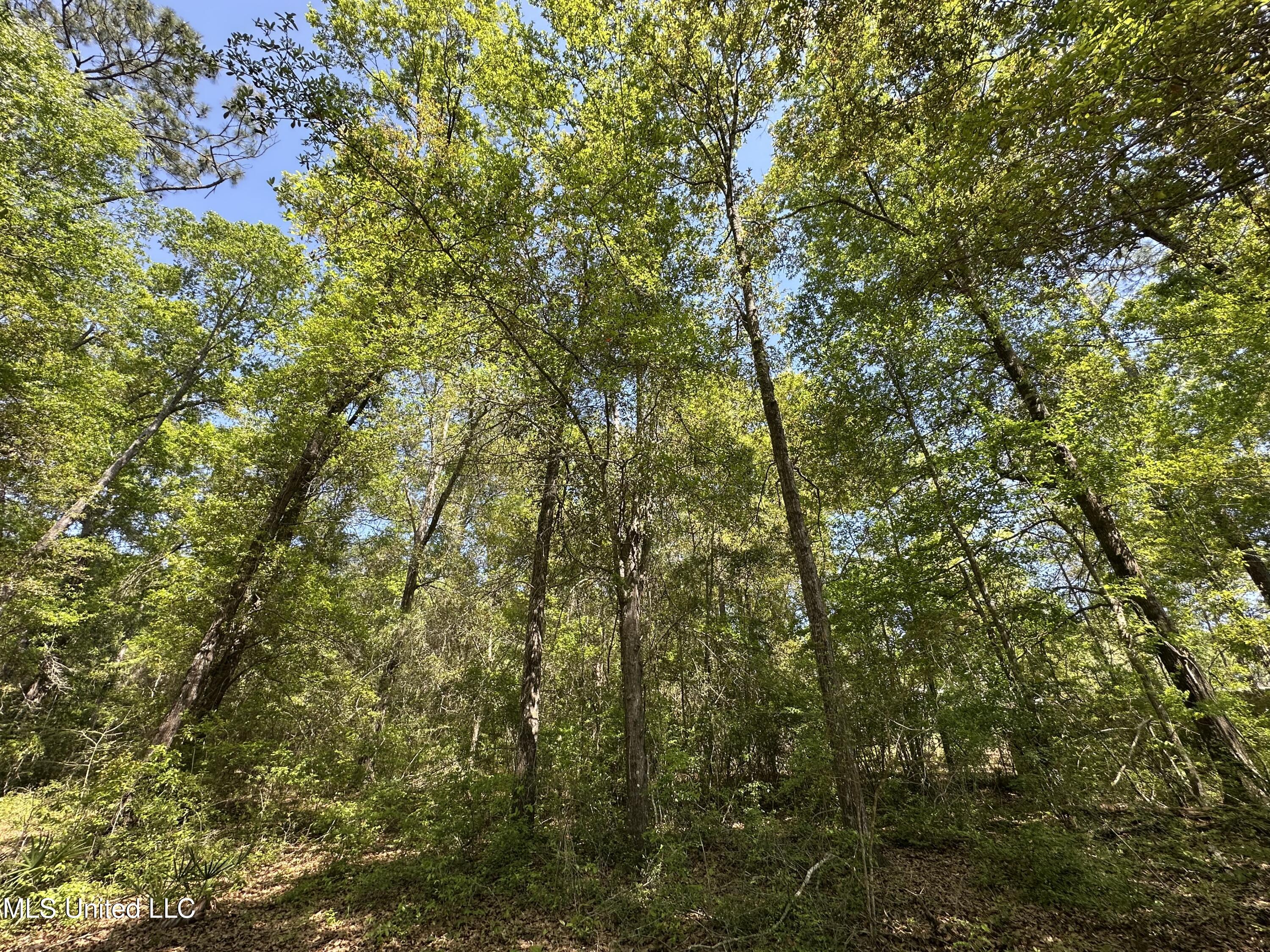 Kale Place, Diamondhead, Mississippi image 7
