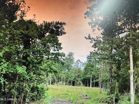 Vacant Land For Sale - Mcdonald Road<br/> Pass Christian, MS 39571