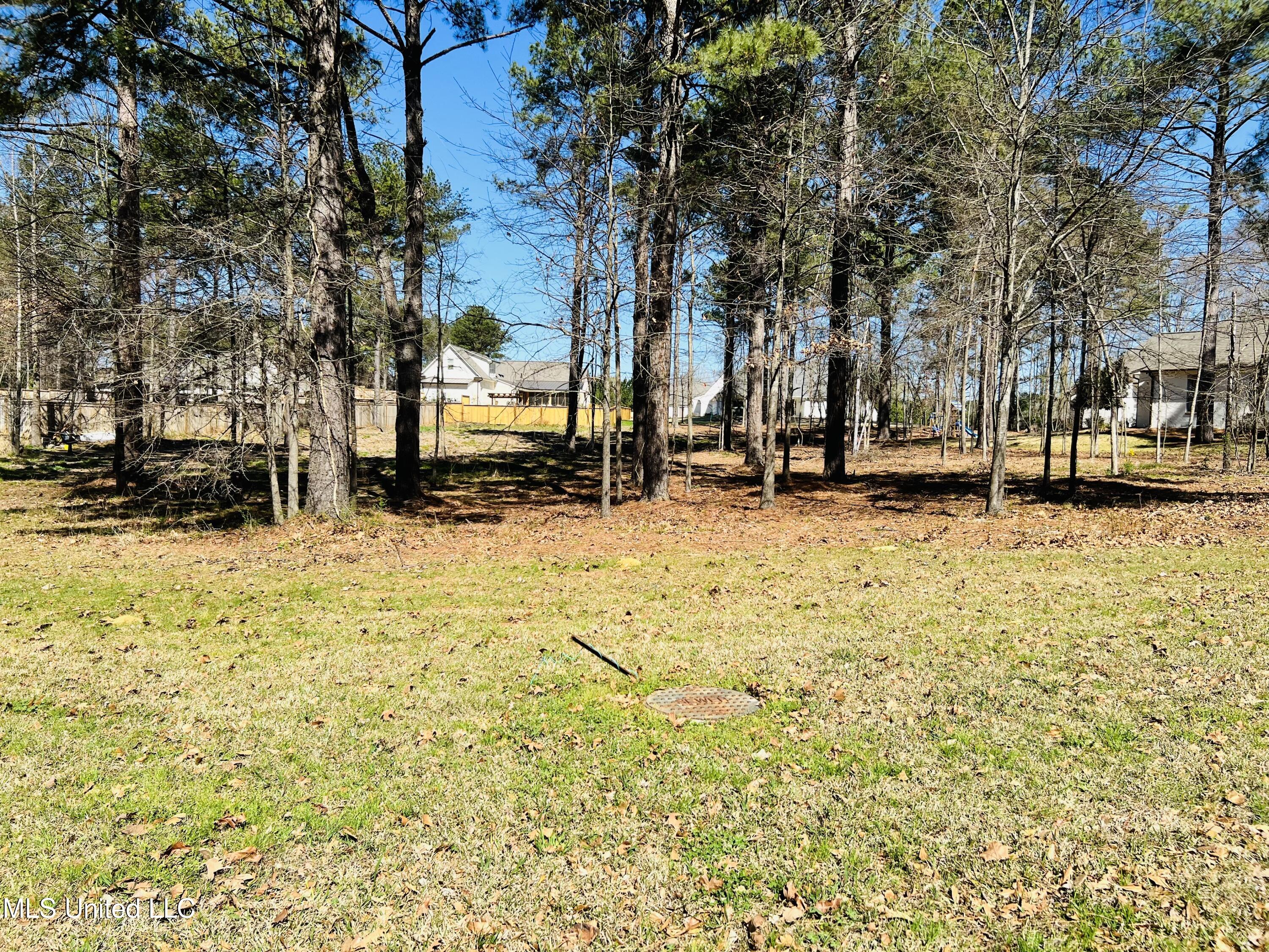 192 Harbor View Drive, Madison, Mississippi image 4