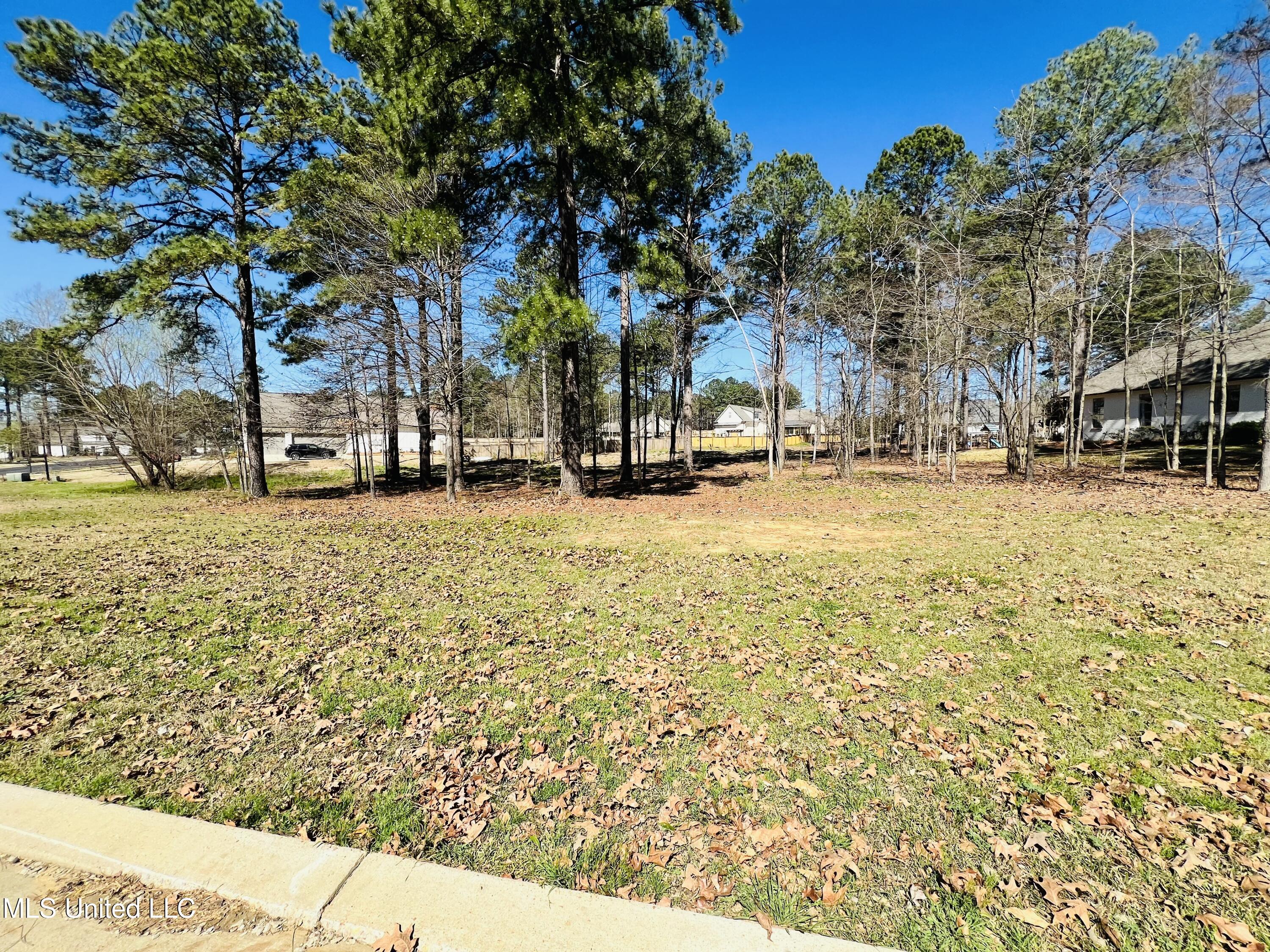 192 Harbor View Drive, Madison, Mississippi image 14
