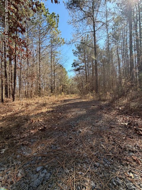 Vacant Land For Sale - 2001 Reed Road<br/> Choctaw County, Ackerman, MS 39735