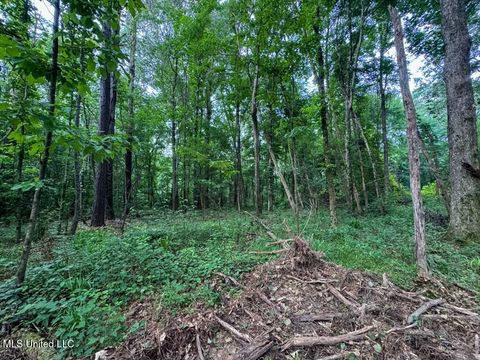 Vacant Land For Sale - 1 Old Hamburg Road<br/> Roxie, MS 39661