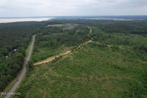 Vacant Land For Sale - Off Highway 333<br/> Grenada, MS 38901
