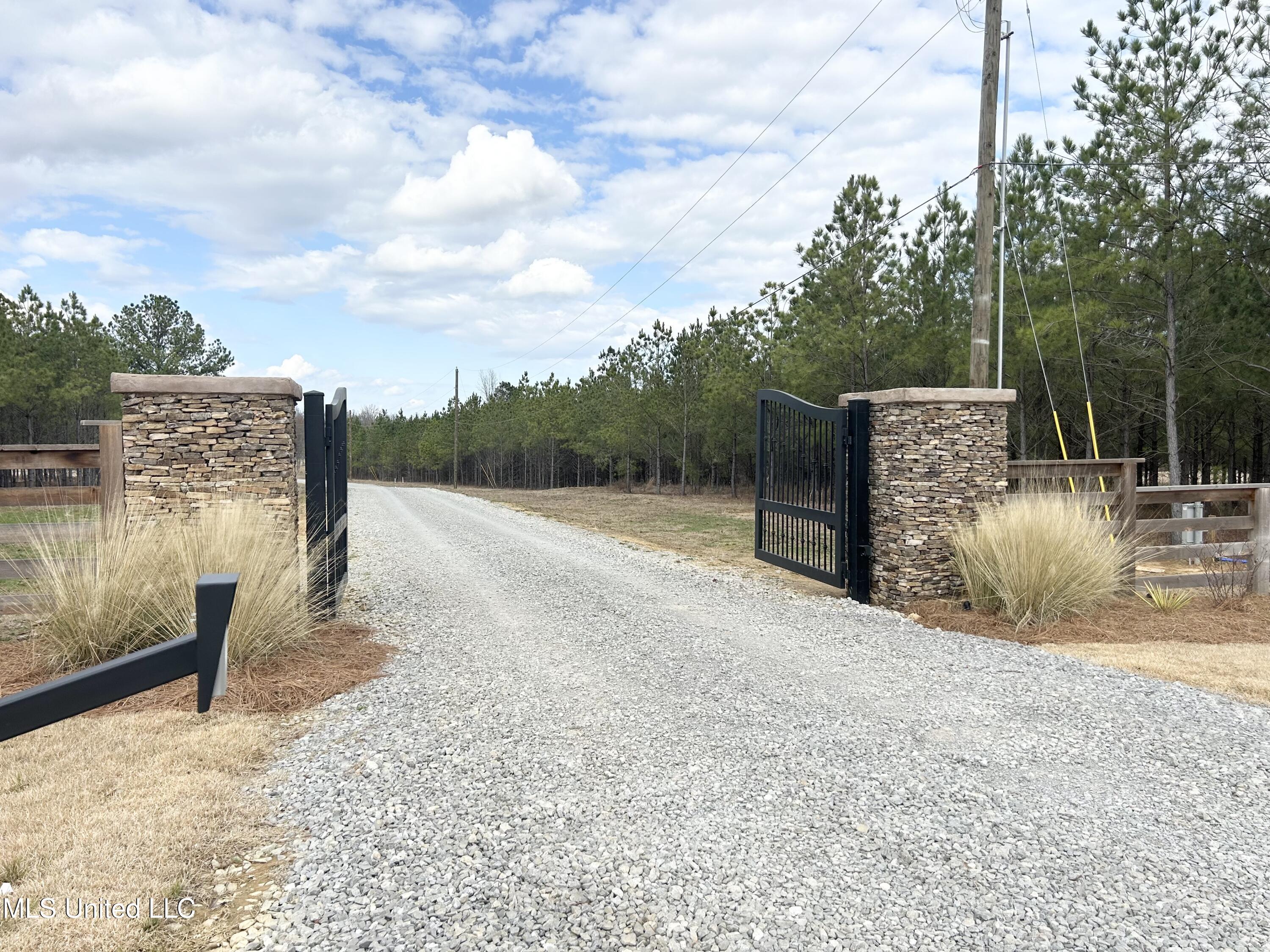 Stout Meadows Lane, Madison, Mississippi image 3