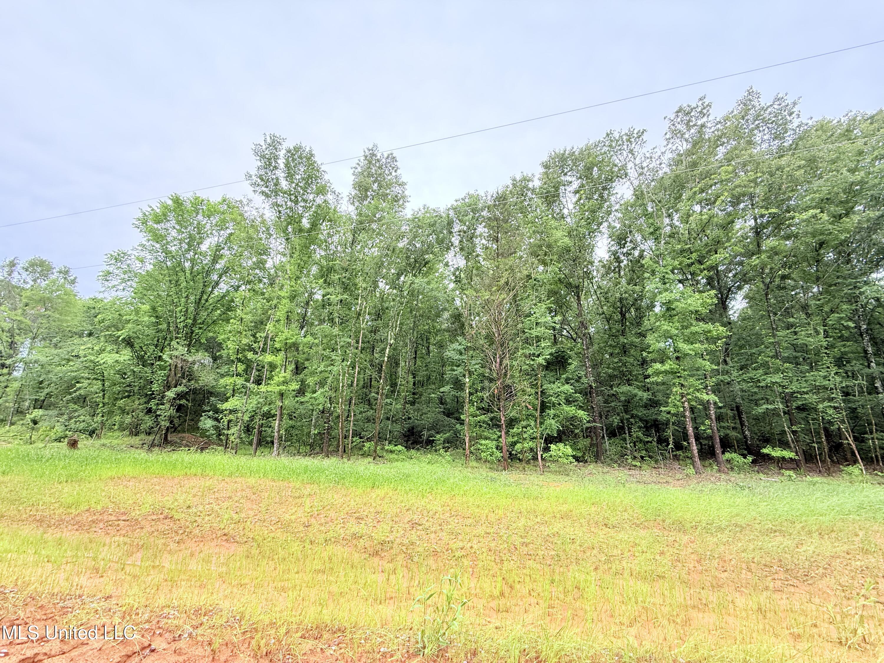 Stout Meadows Lane, Madison, Mississippi image 1