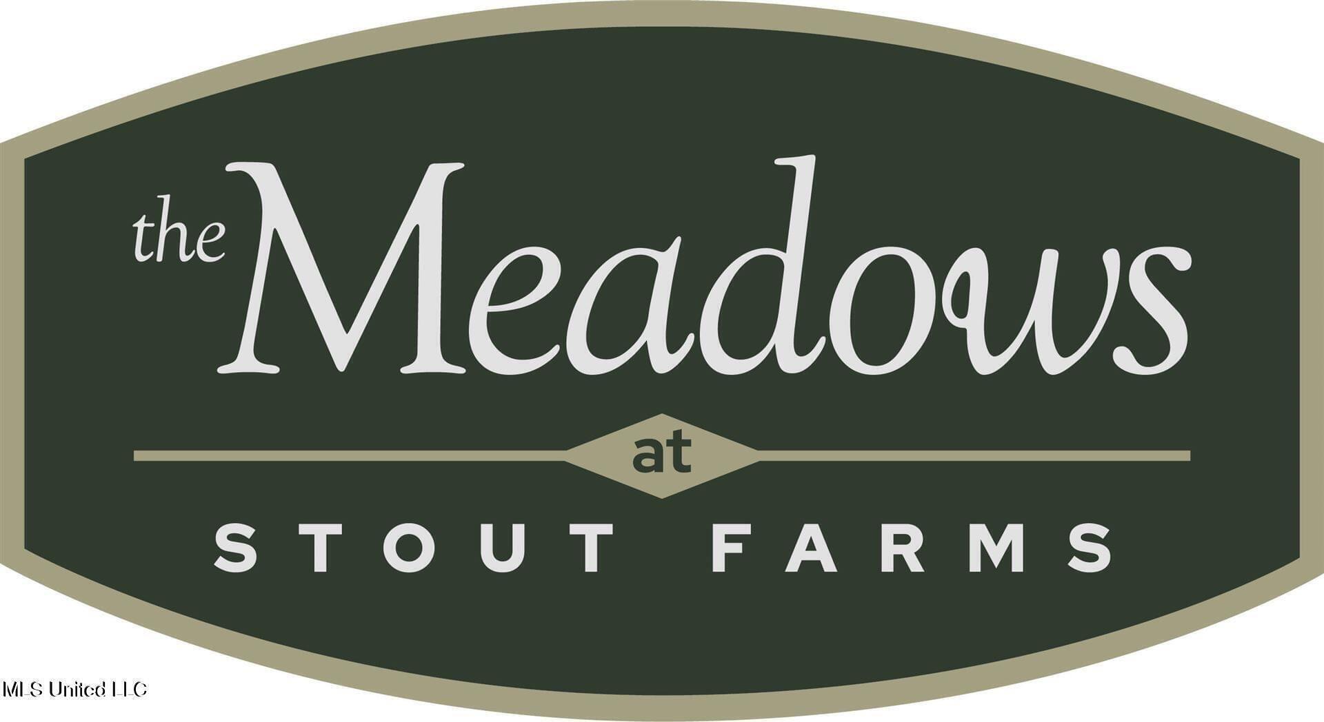 Stout Meadows Lane, Madison, Mississippi image 2
