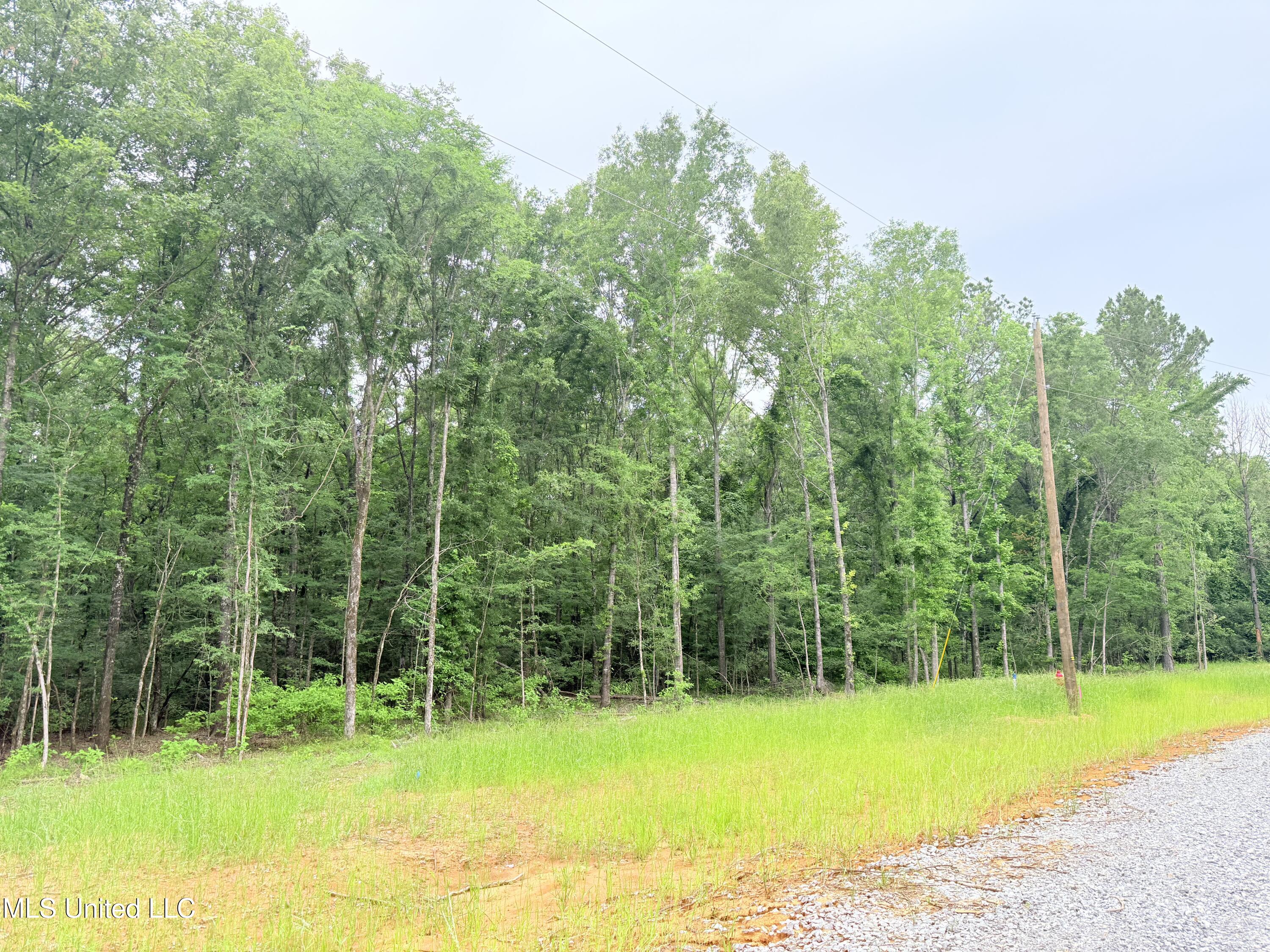 Stout Meadows Lane, Madison, Mississippi image 13