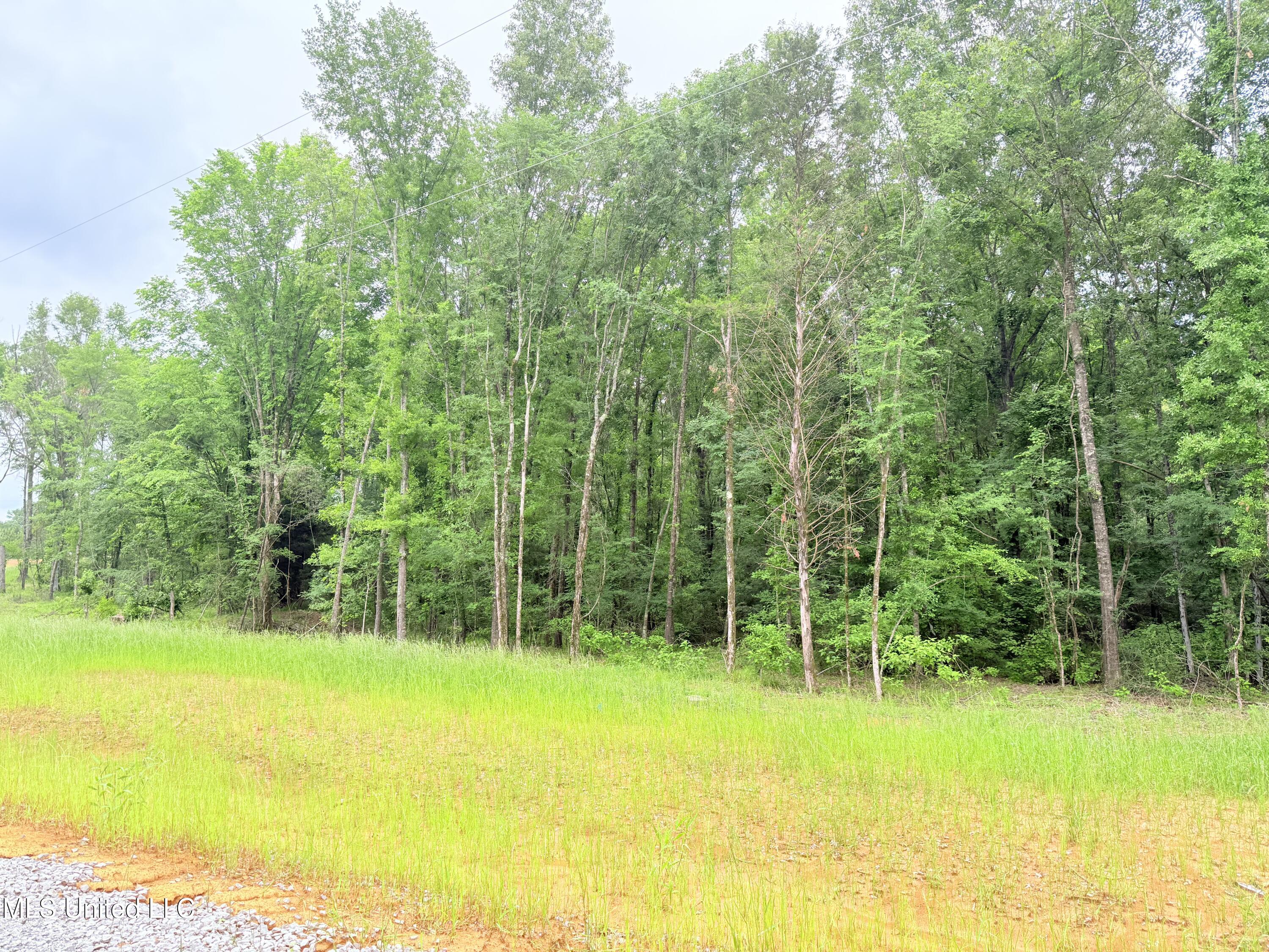 Stout Meadows Lane, Madison, Mississippi image 12