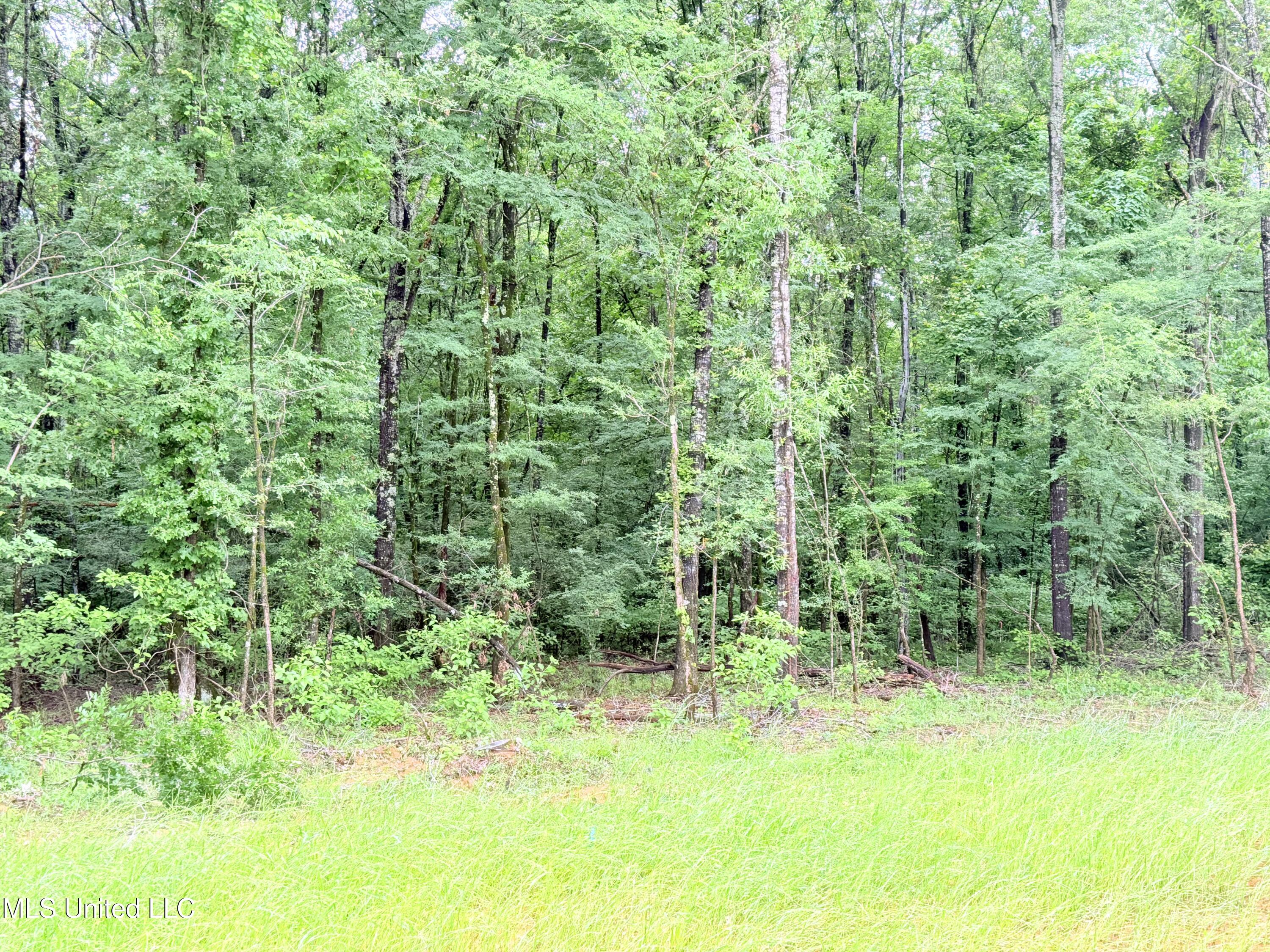 Stout Meadows Lane, Madison, Mississippi image 6