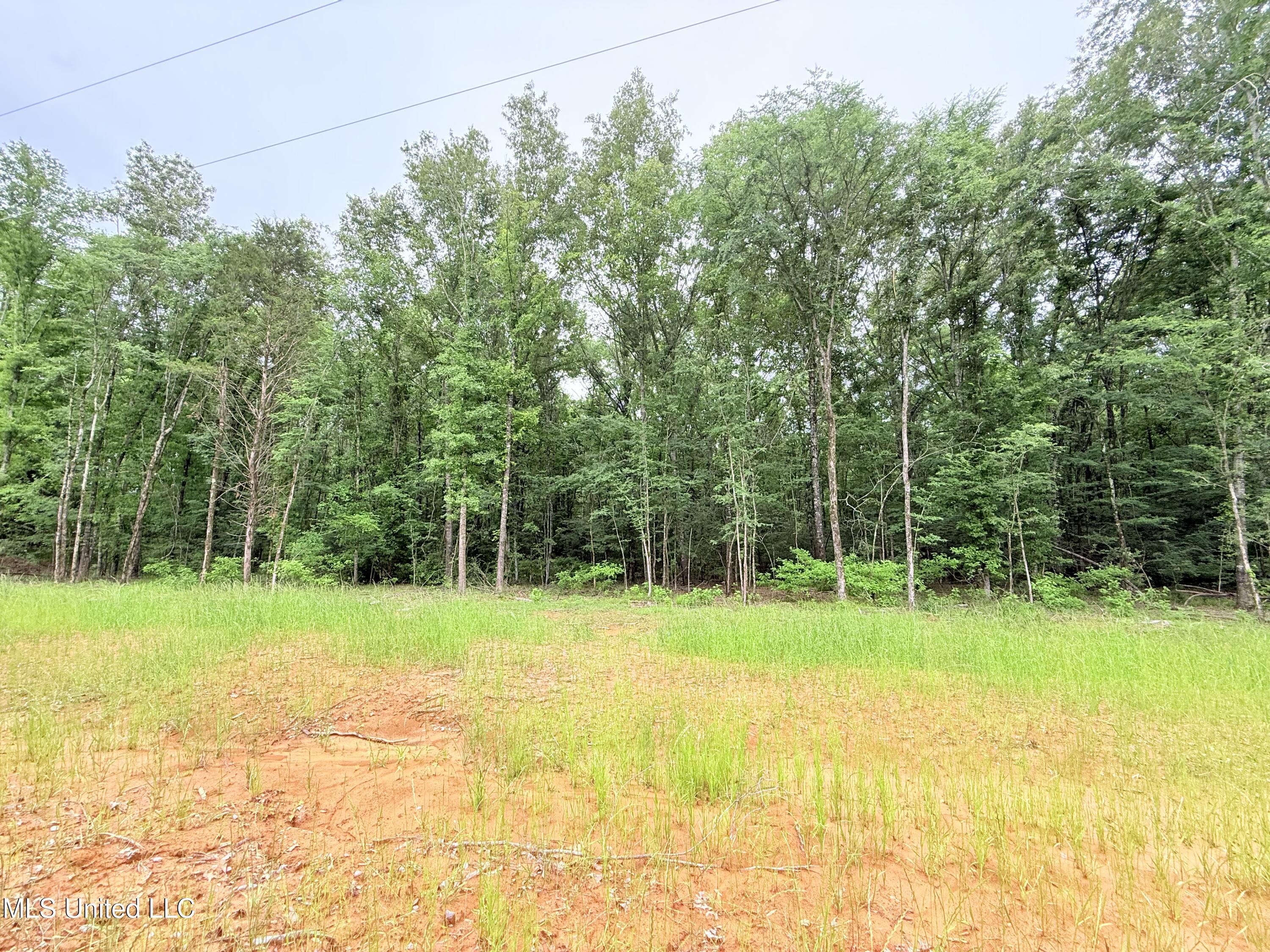 Stout Meadows Lane, Madison, Mississippi image 14