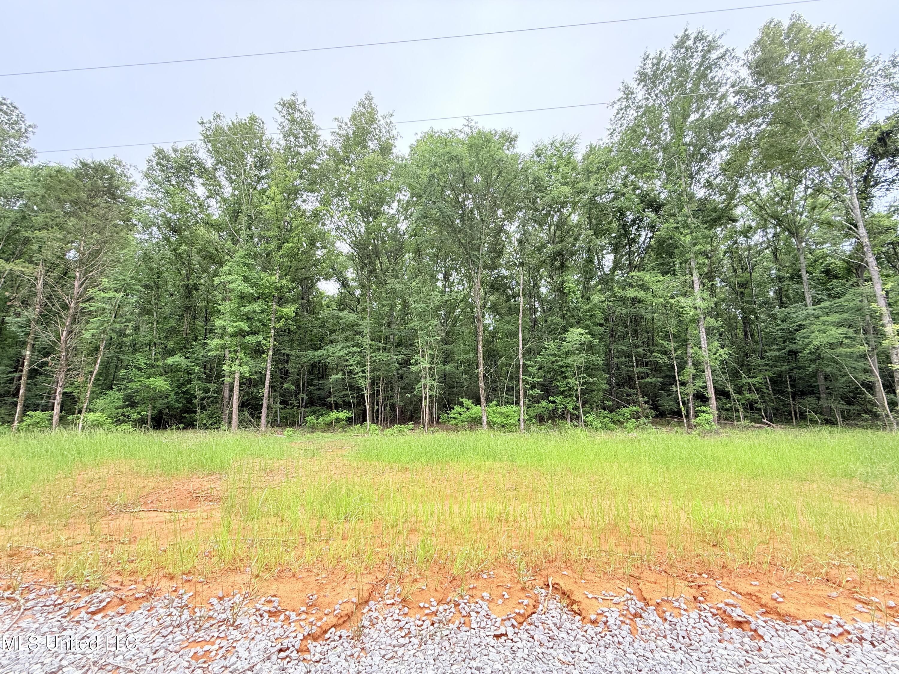 Stout Meadows Lane, Madison, Mississippi image 15